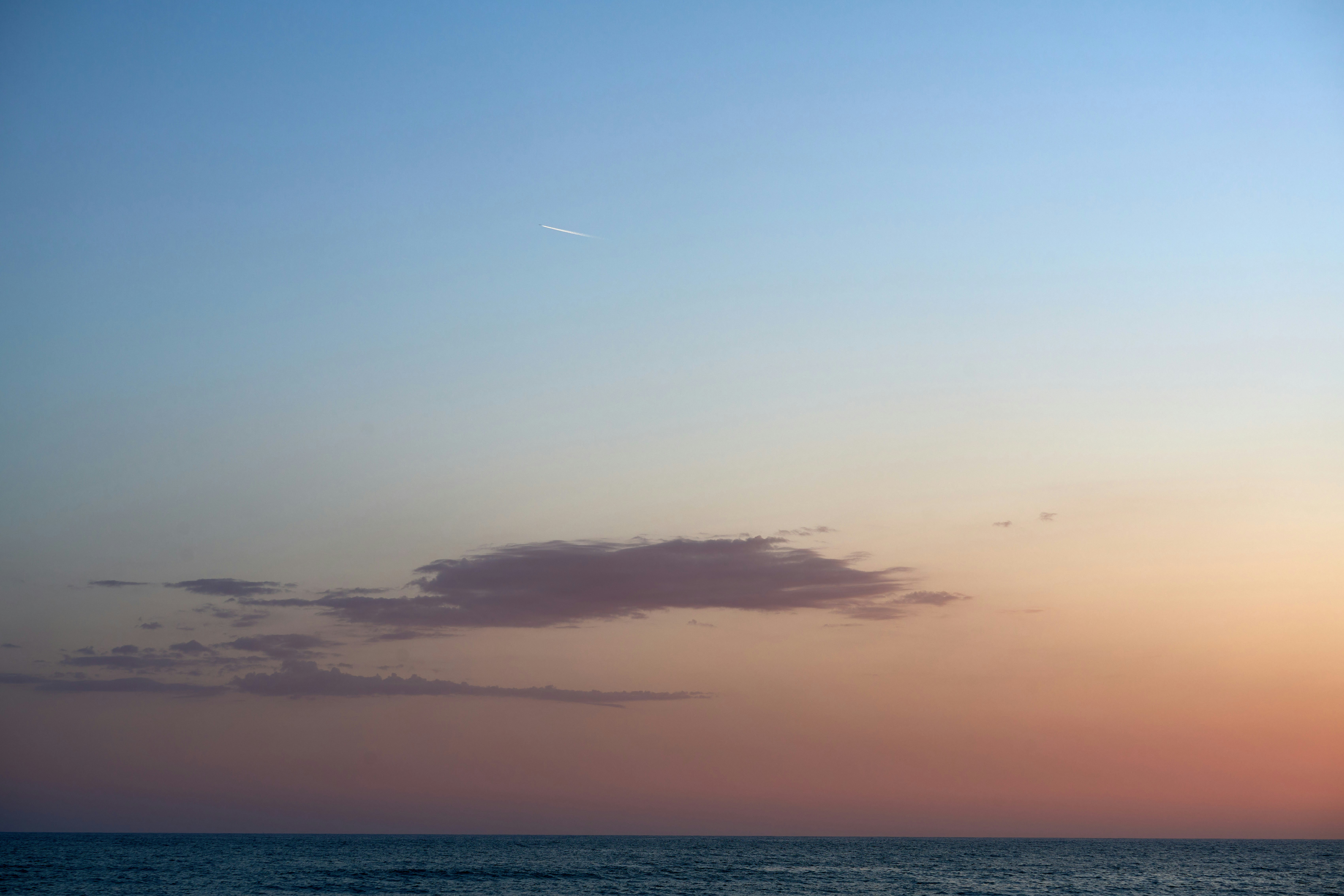 Photo by wolfgang_hasselmann