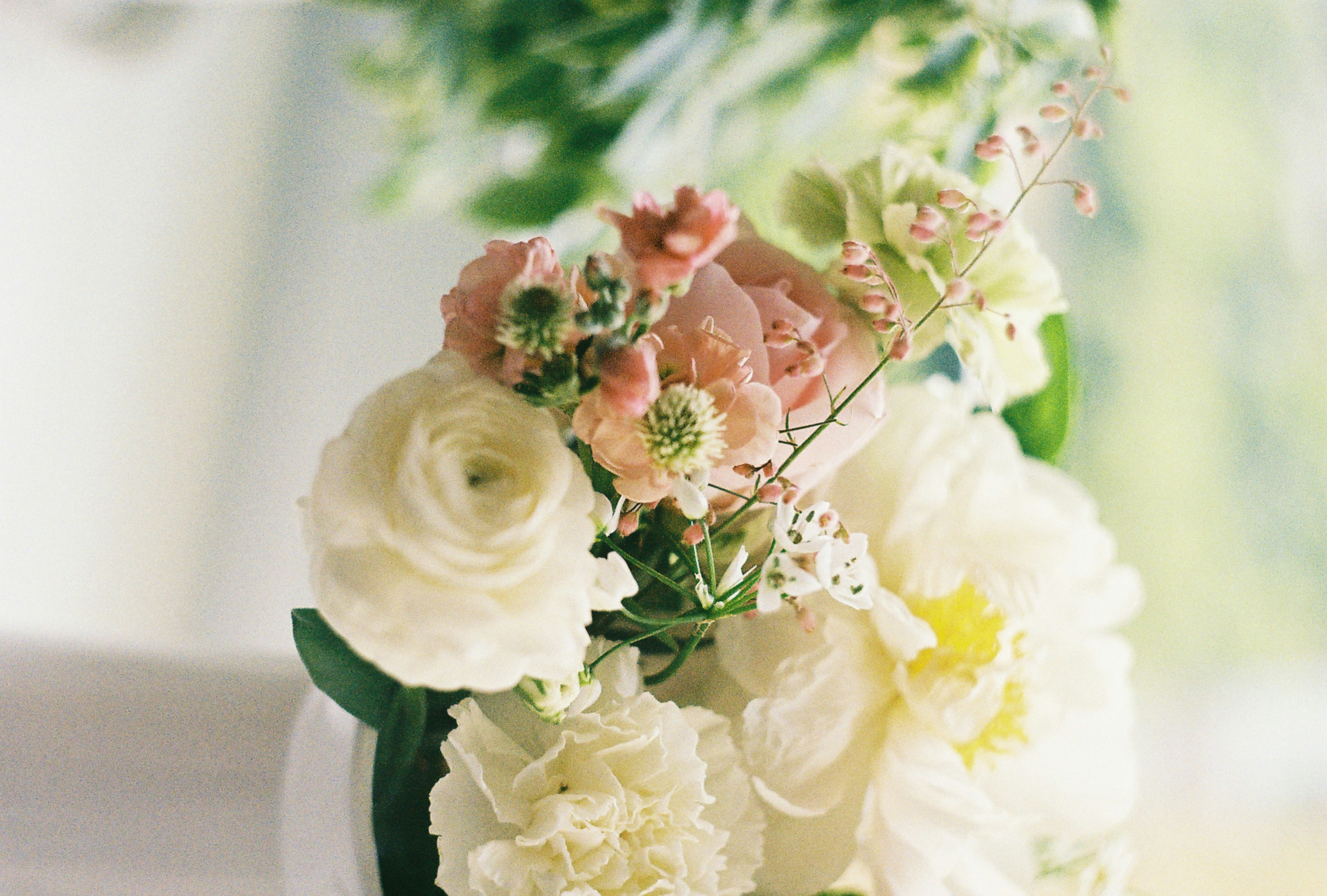 Photo by fedorovaliza