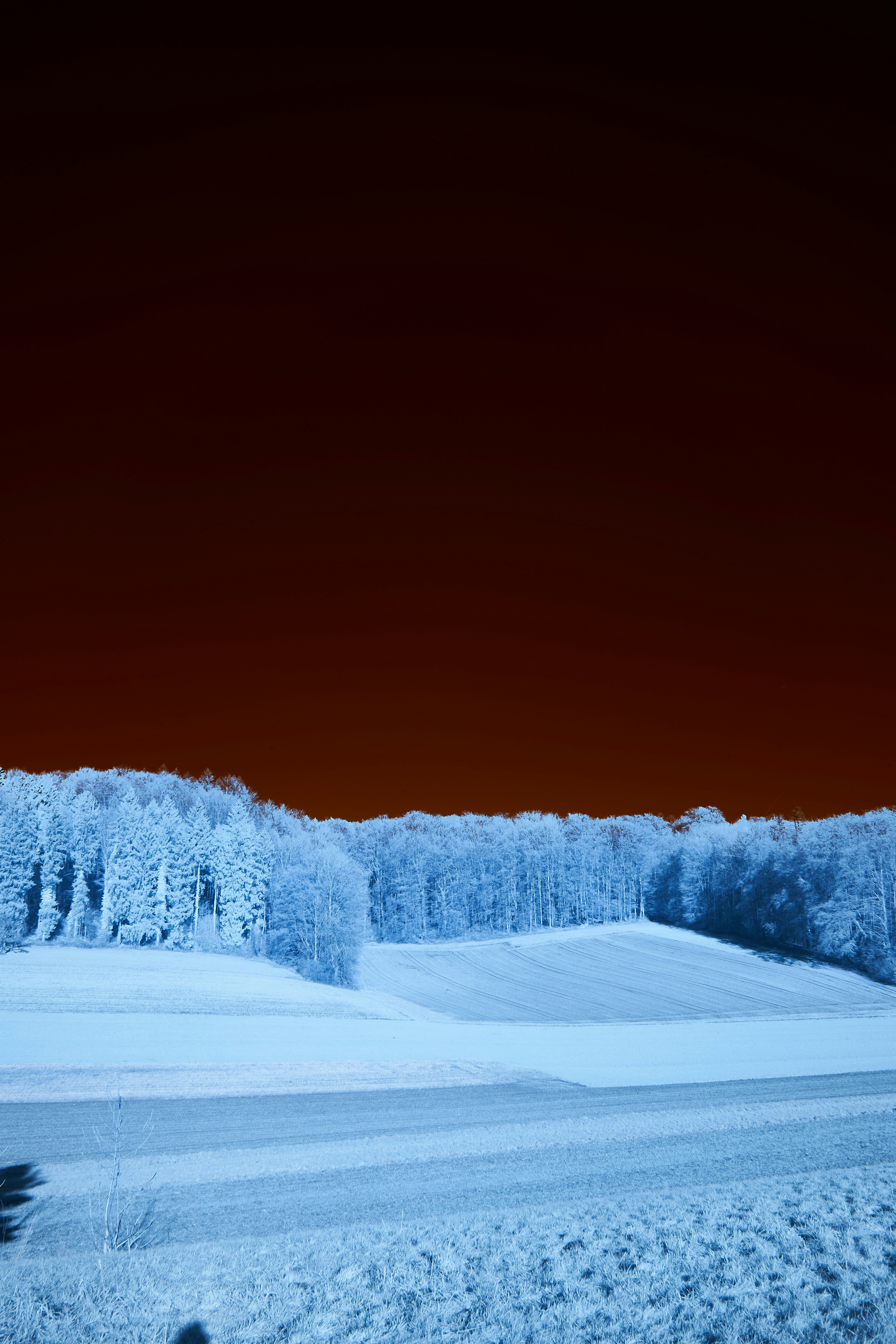 Photo by wolfgang_hasselmann