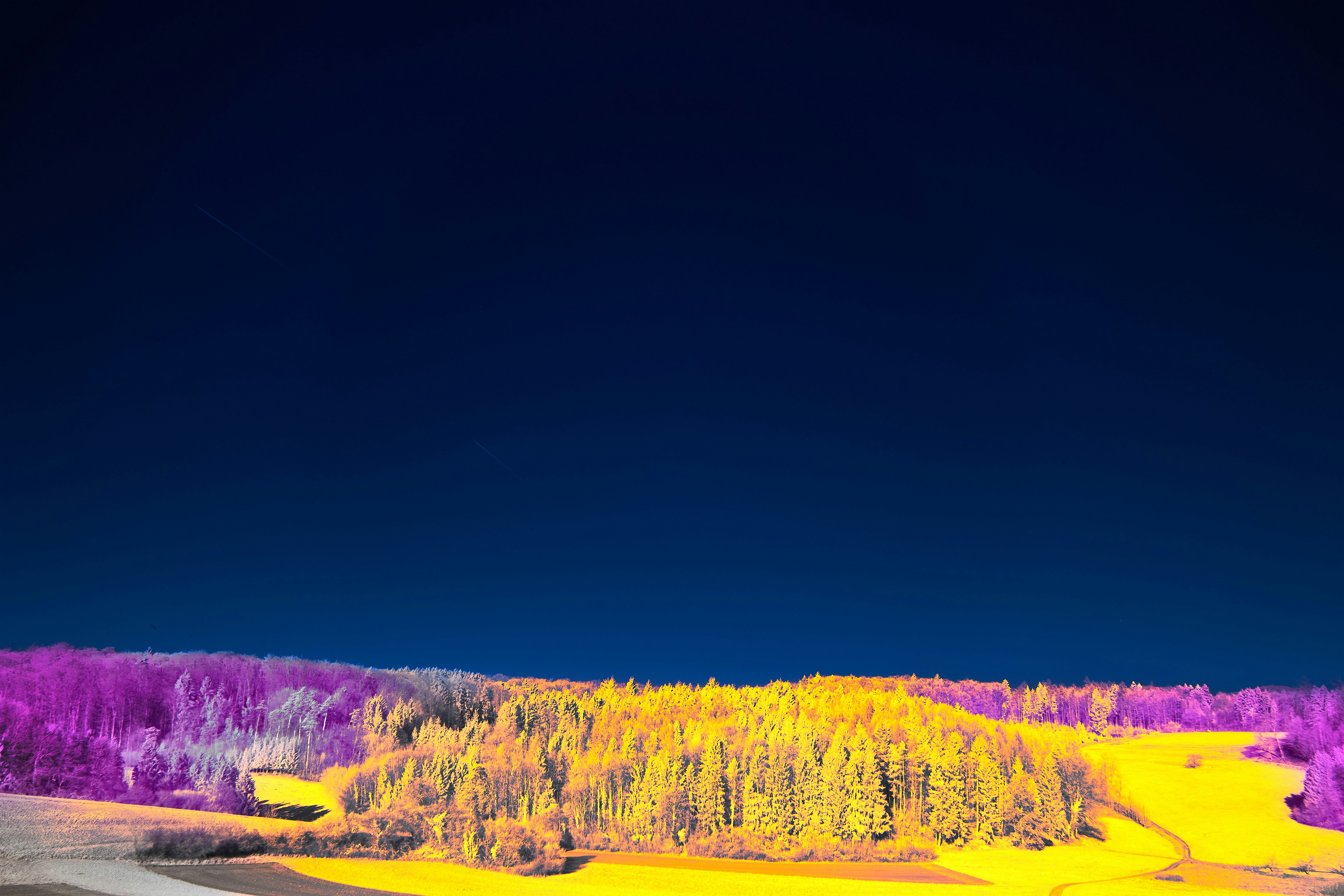 Photo by wolfgang_hasselmann