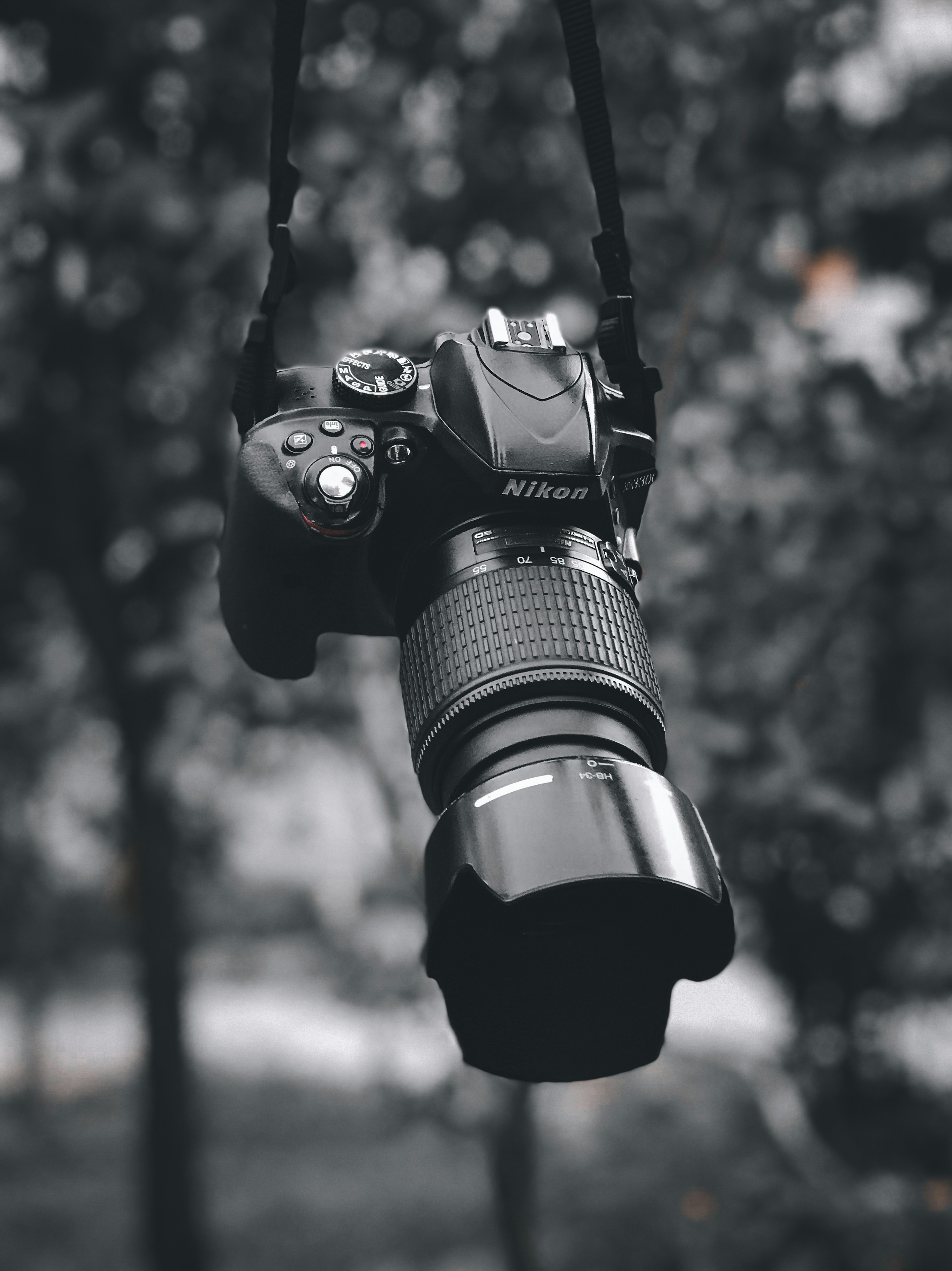 Photo by qasimmirzaie