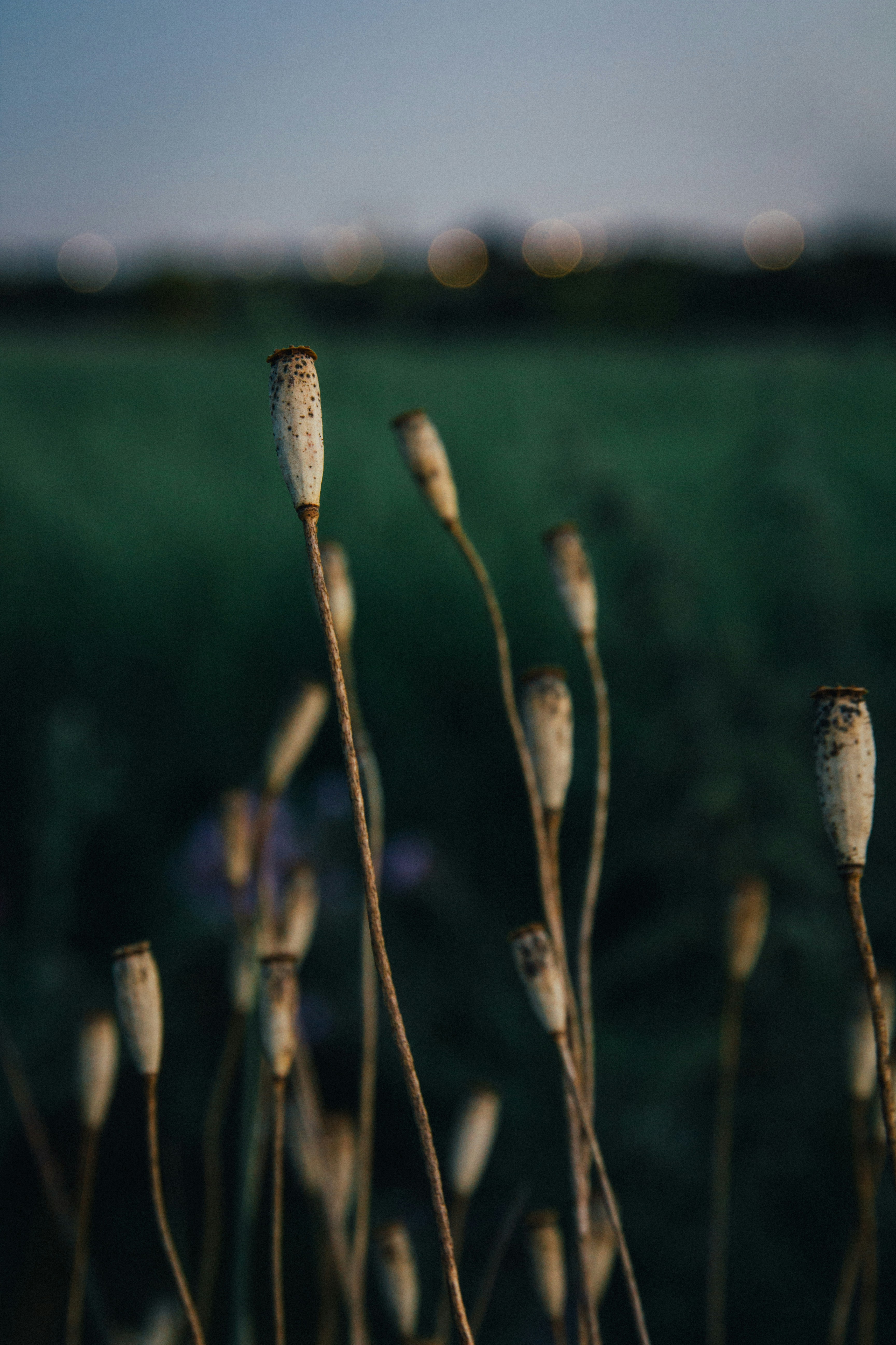 Photo by onmywayhome