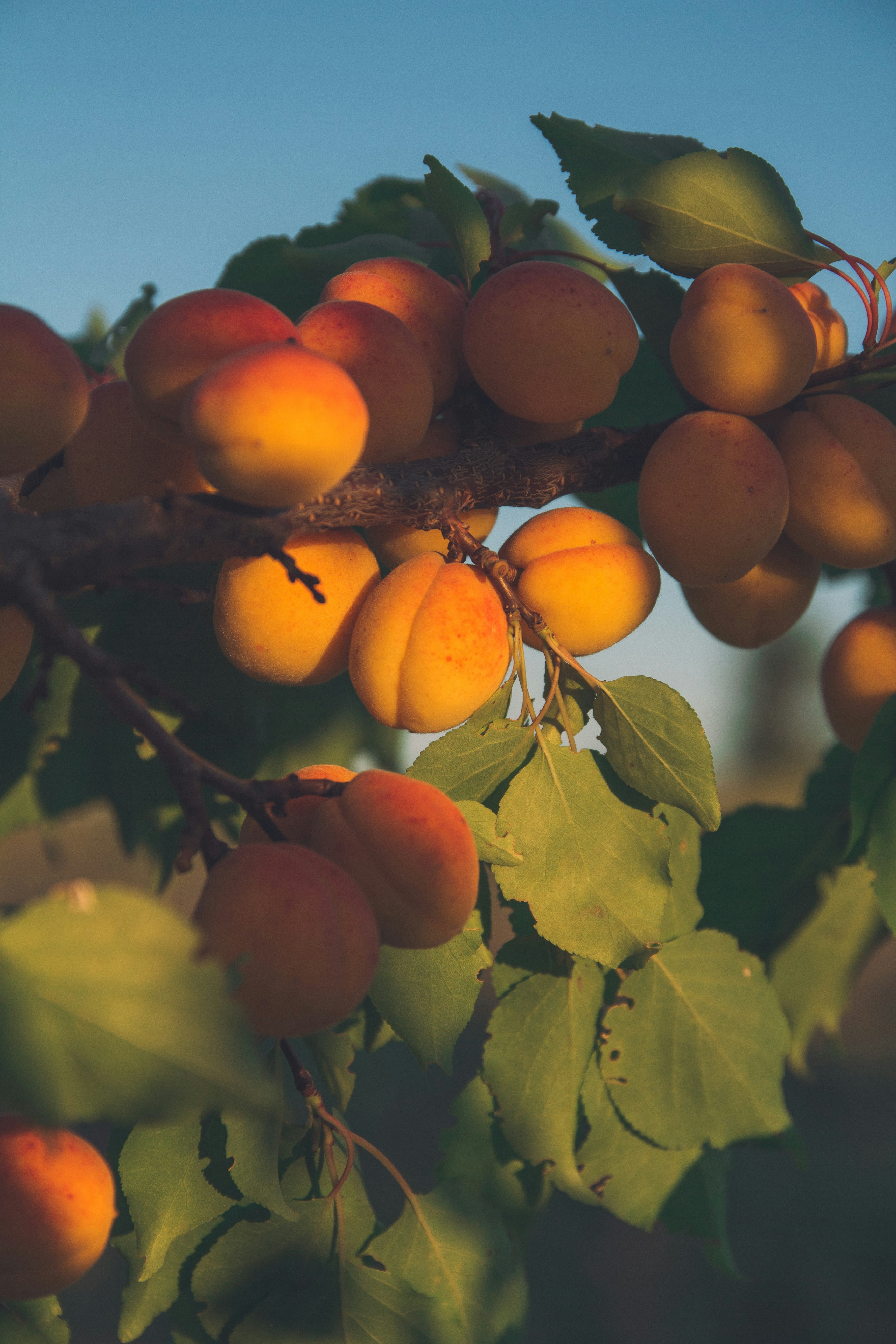 Photo by onmywayhome