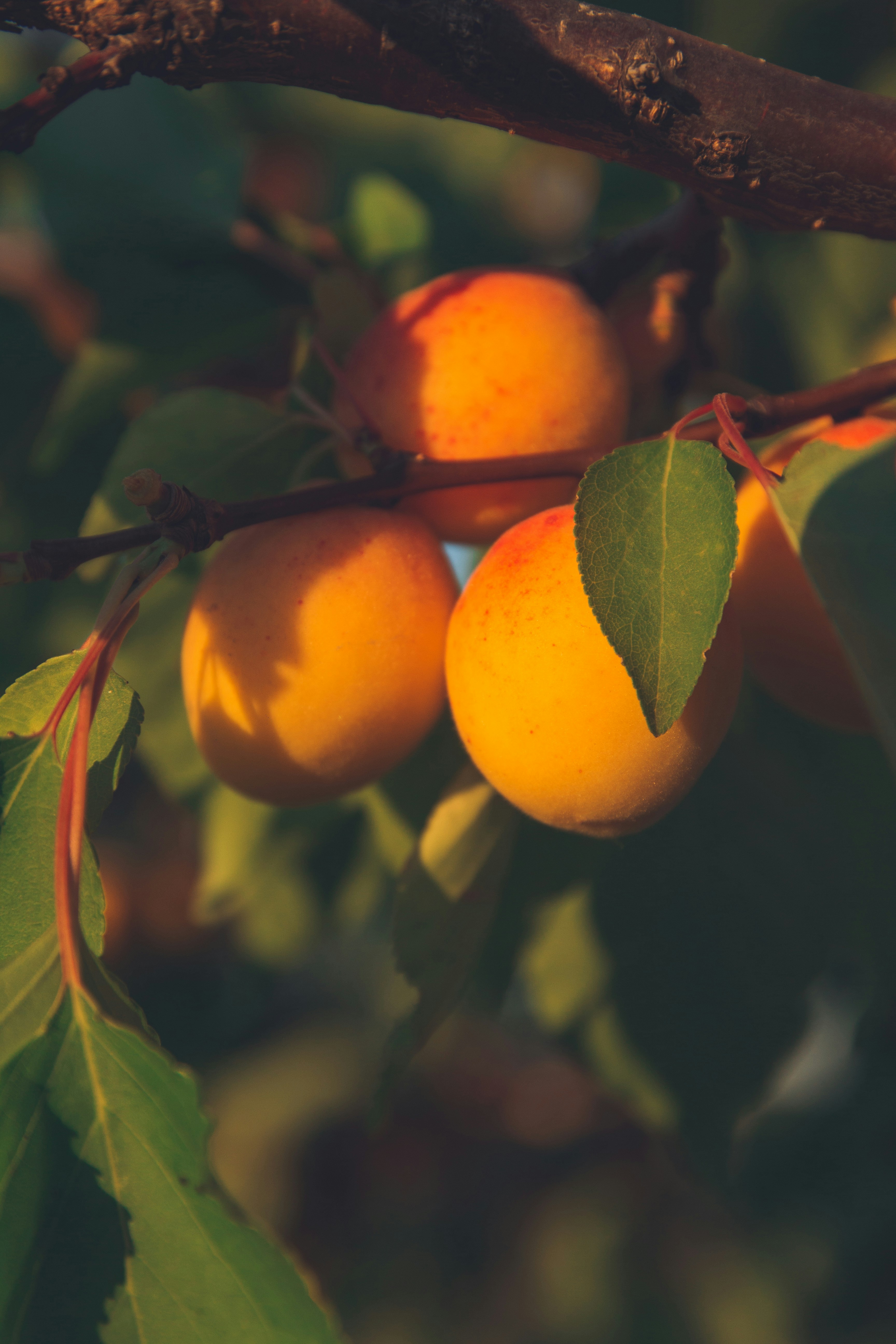 Photo by onmywayhome