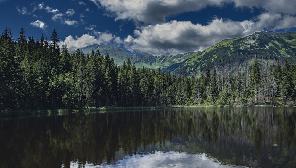 a lake with trees and mountains in the background