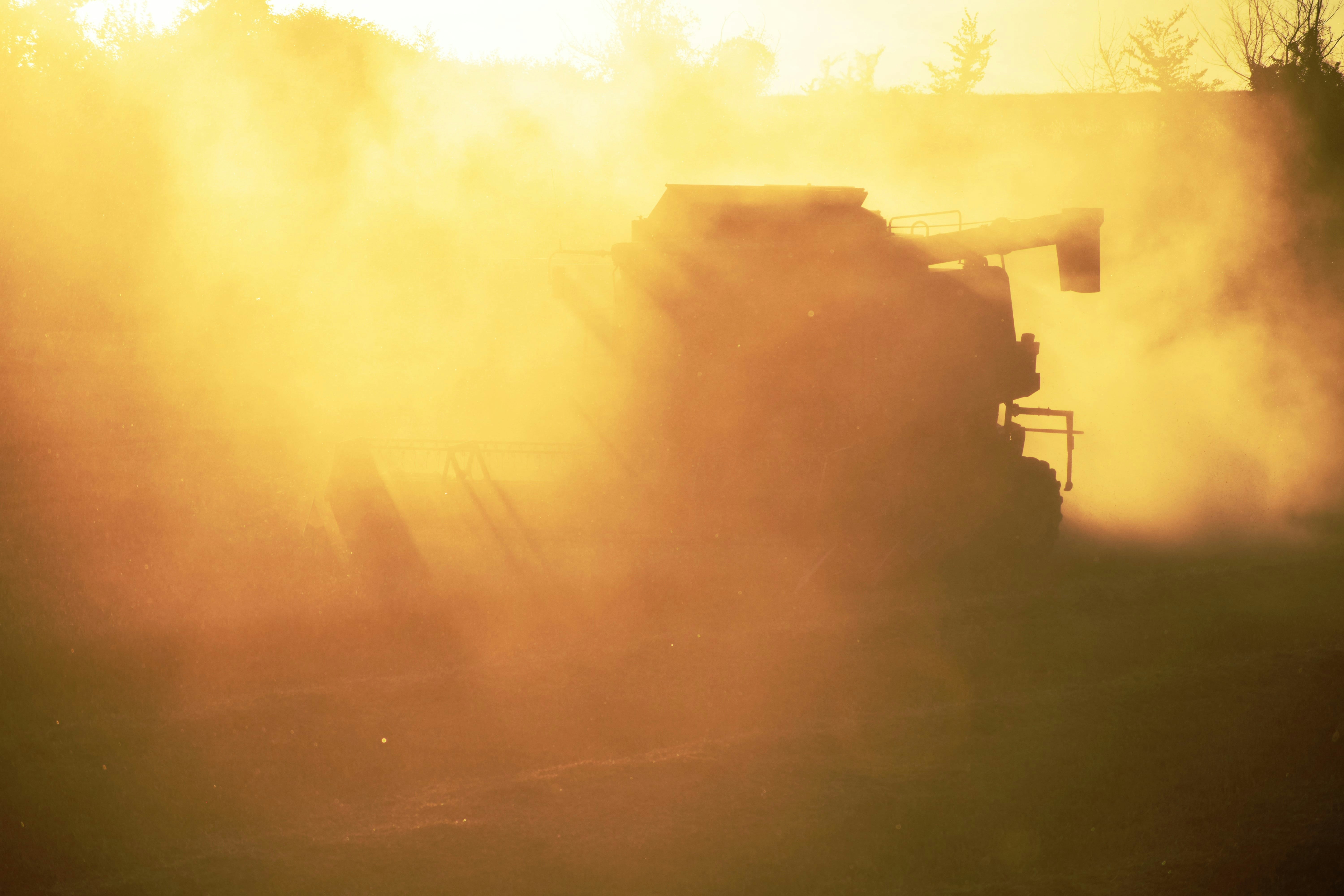 איך רצים הם בג'יפים דקי הקליפה מול חיות השריון הגדולות, נבקעים, ותוכם הלוזי נחשף