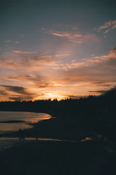A serene sunset over the mangrove with silhouettes of people sharing stories.