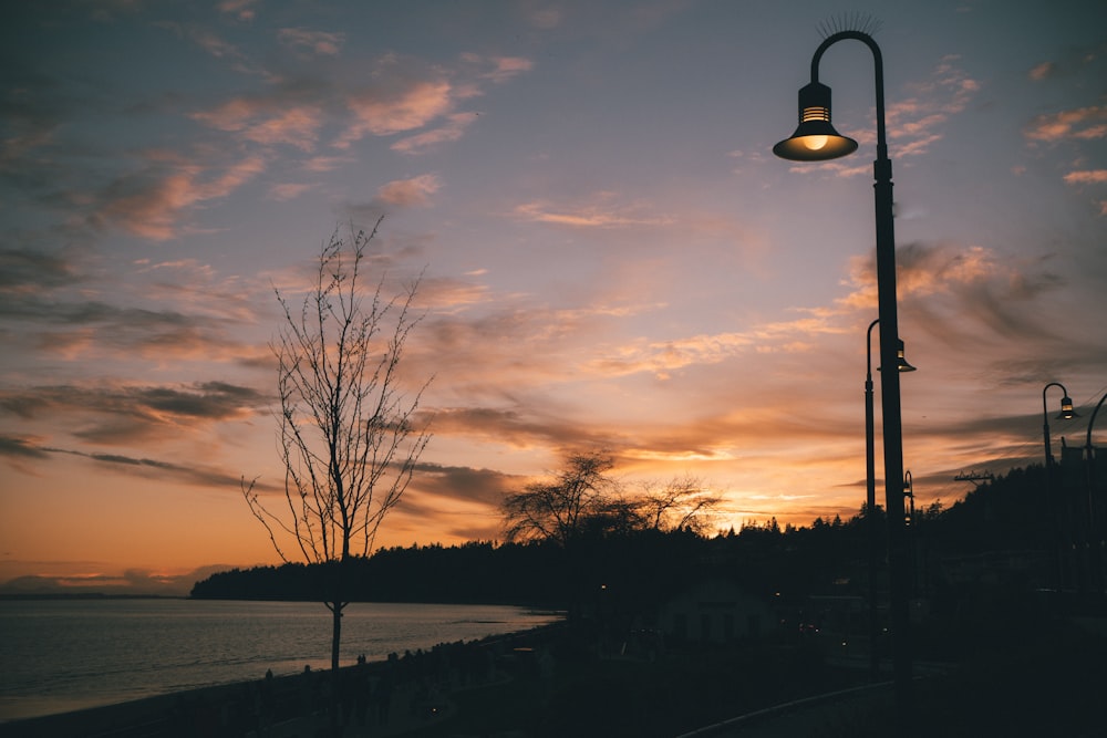 a street light and a tree