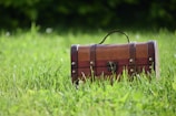 a suitcase in the grass