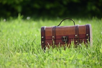 a suitcase in the grass
