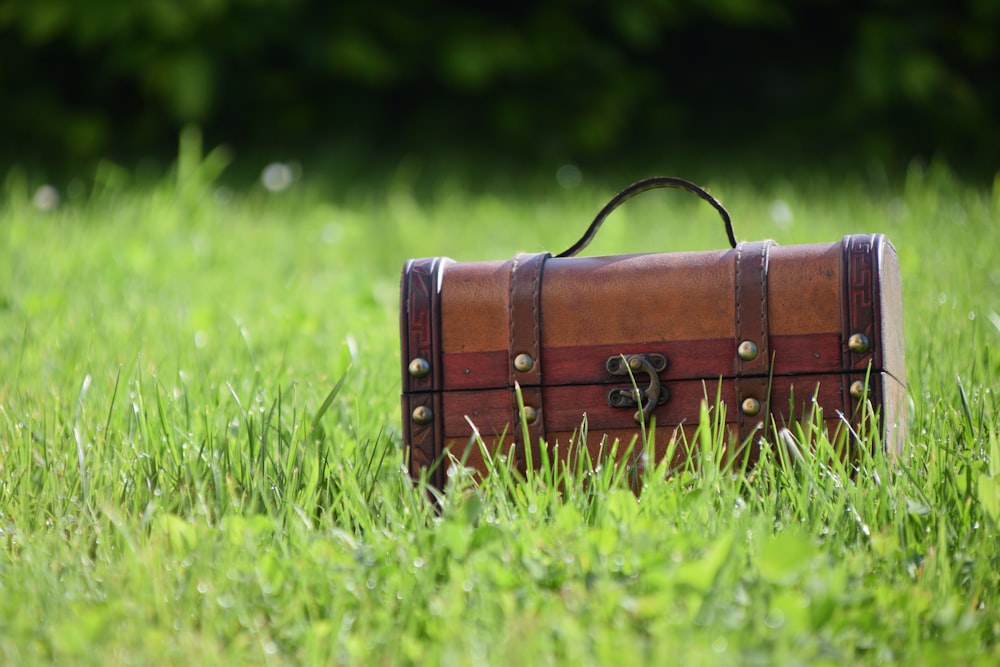 Une valise dans l’herbe