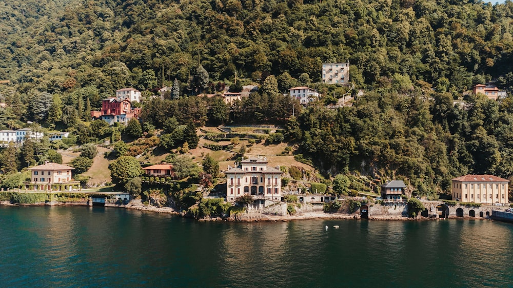 a body of water with buildings and trees around it