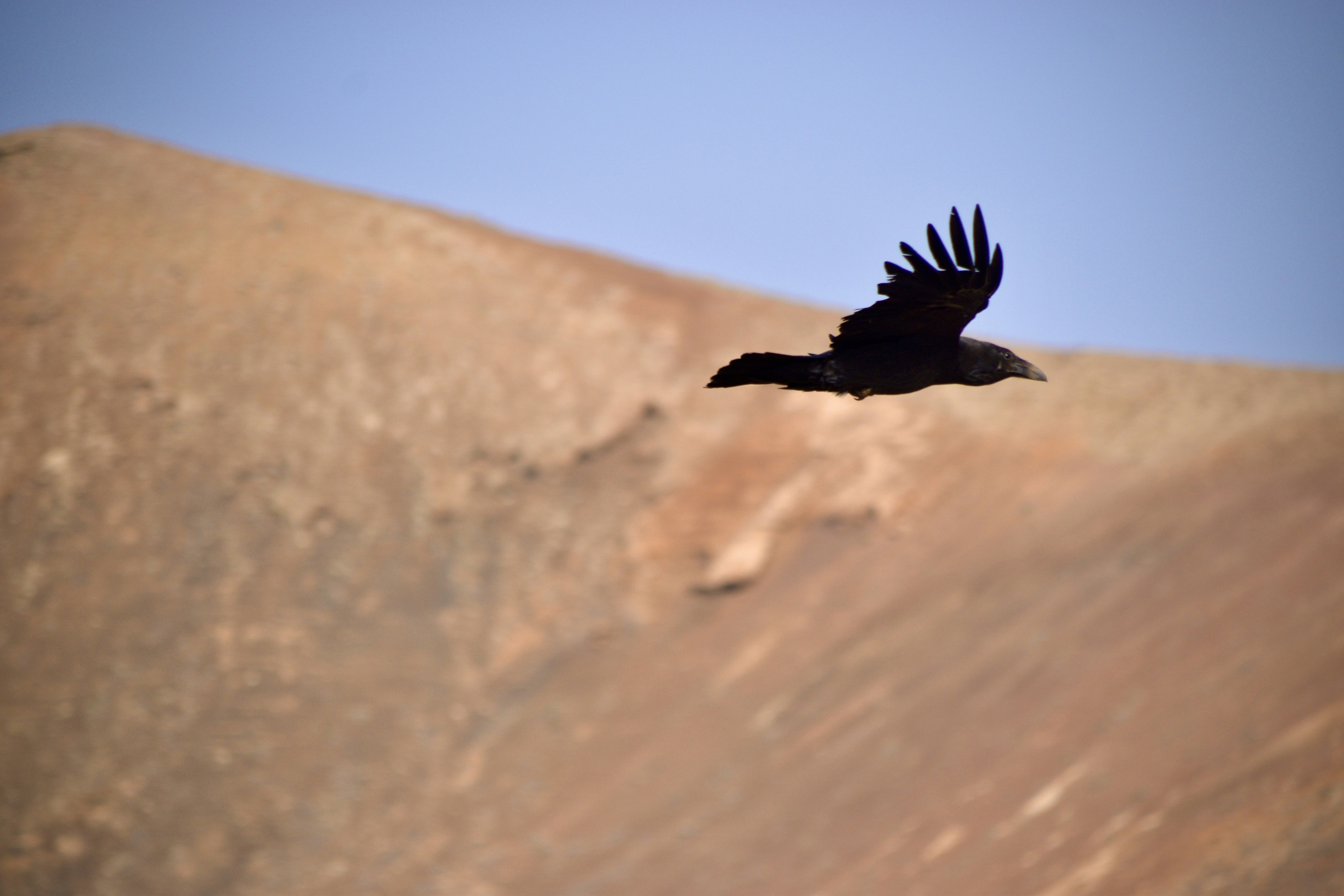 Photo by kairohweder