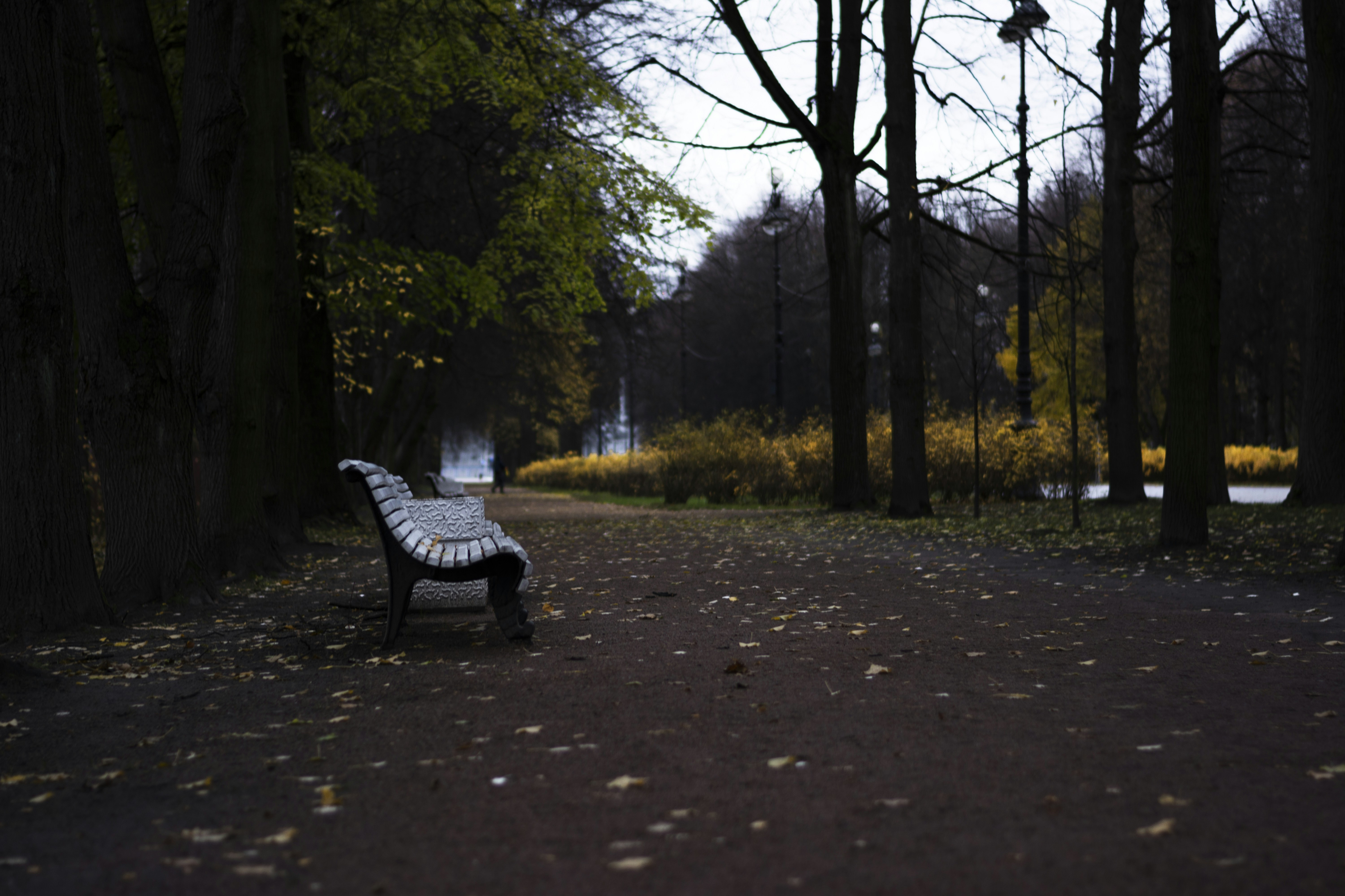 Photo by vadutskevich