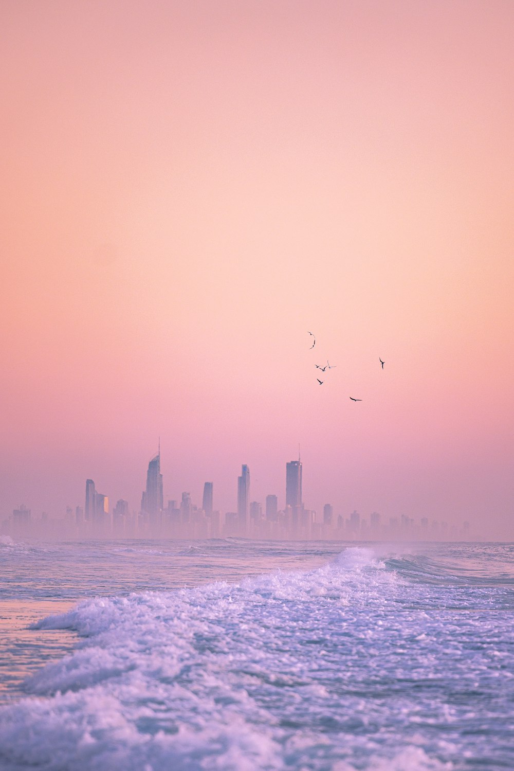 a city skyline with birds flying