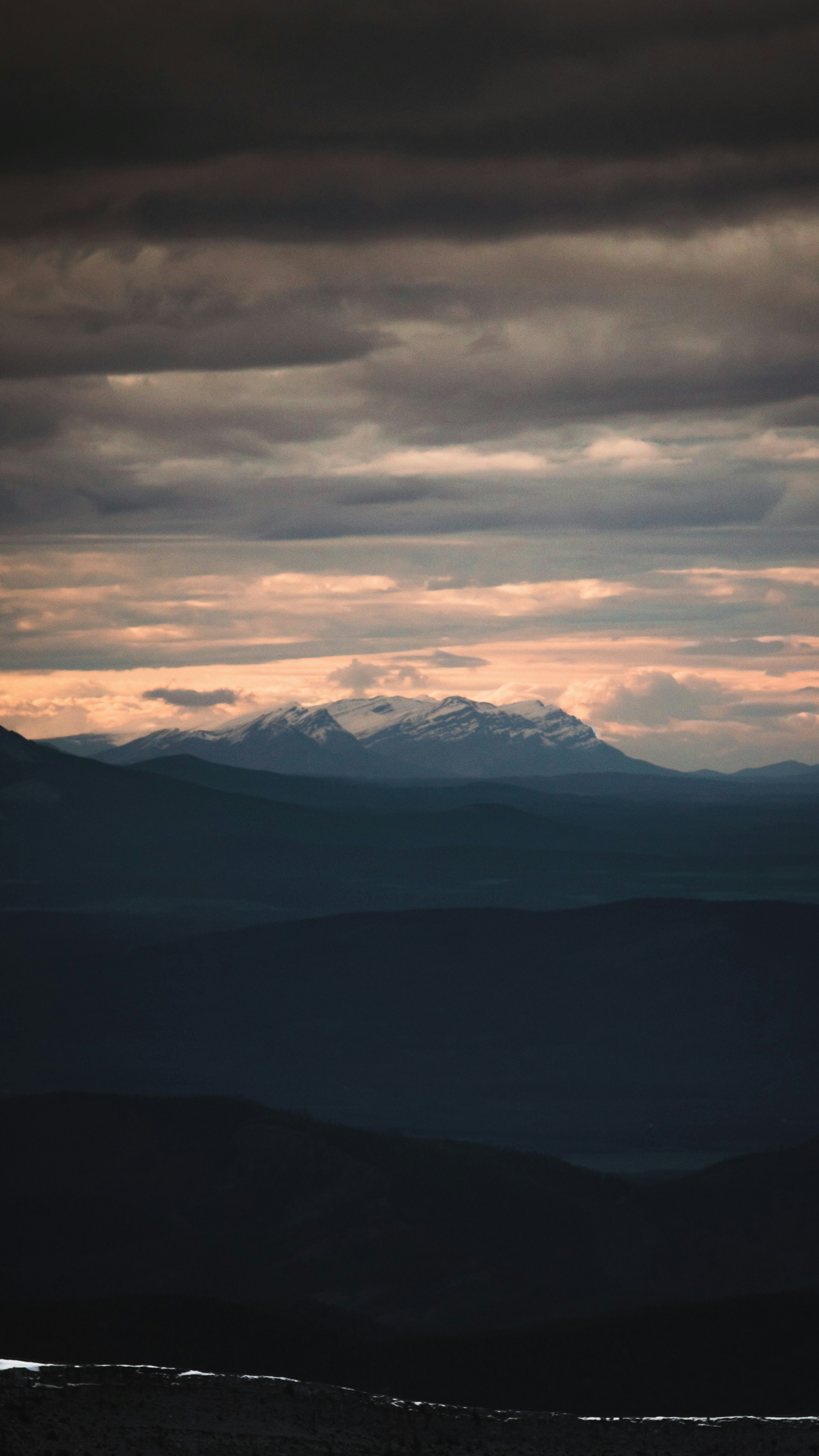 Photo by tfrankcreations