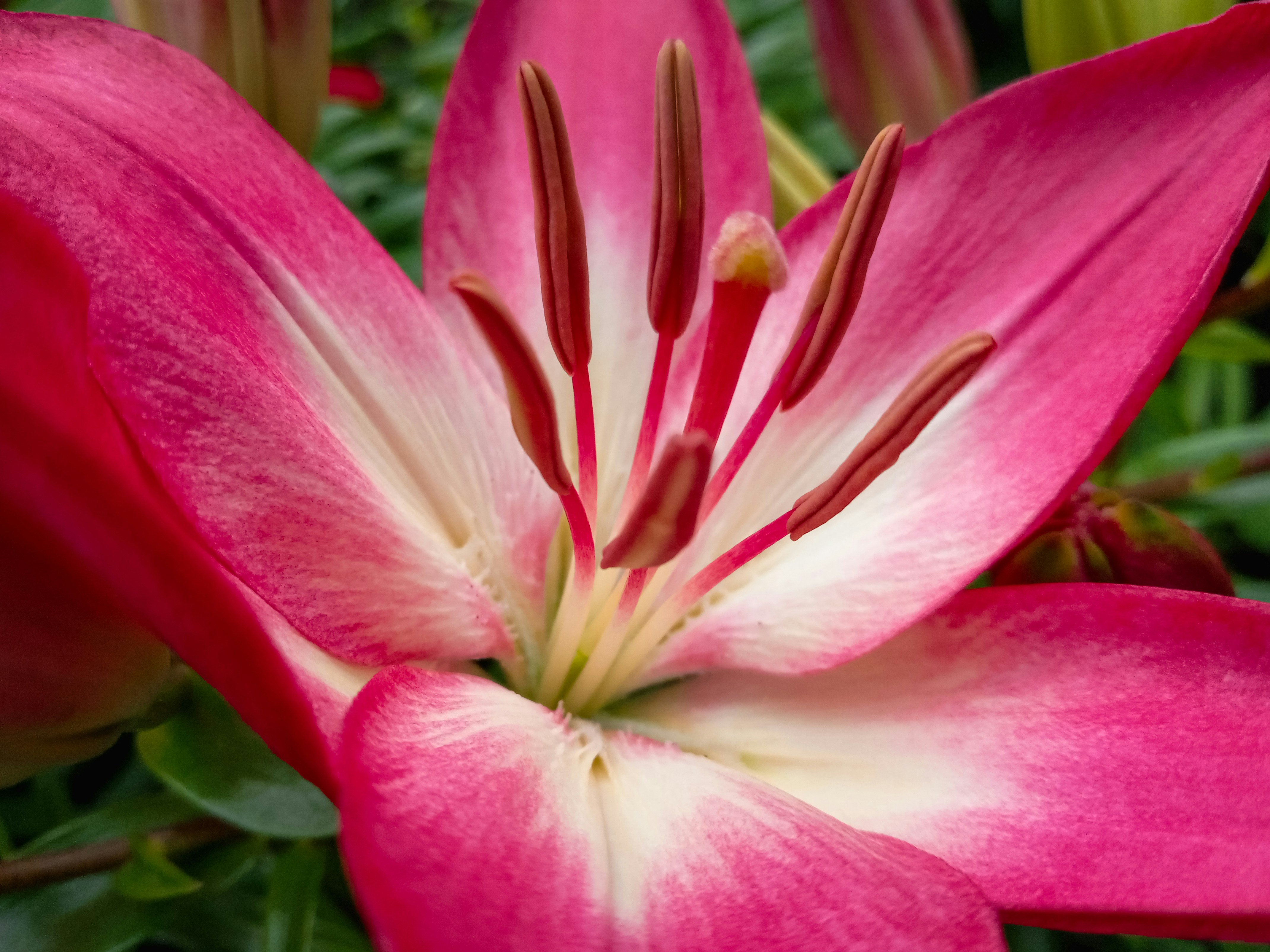 Photo by d21_gallery