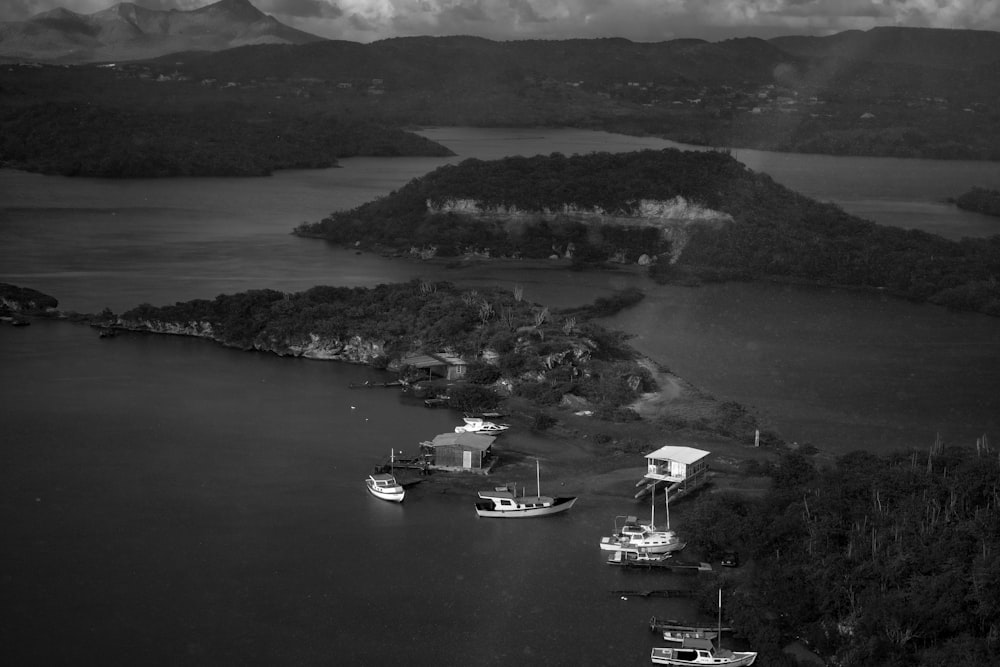 a body of water with boats in it and trees around it