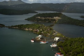 a group of boats on a body of water