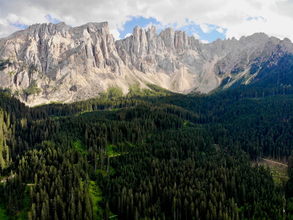 a mountain range with trees