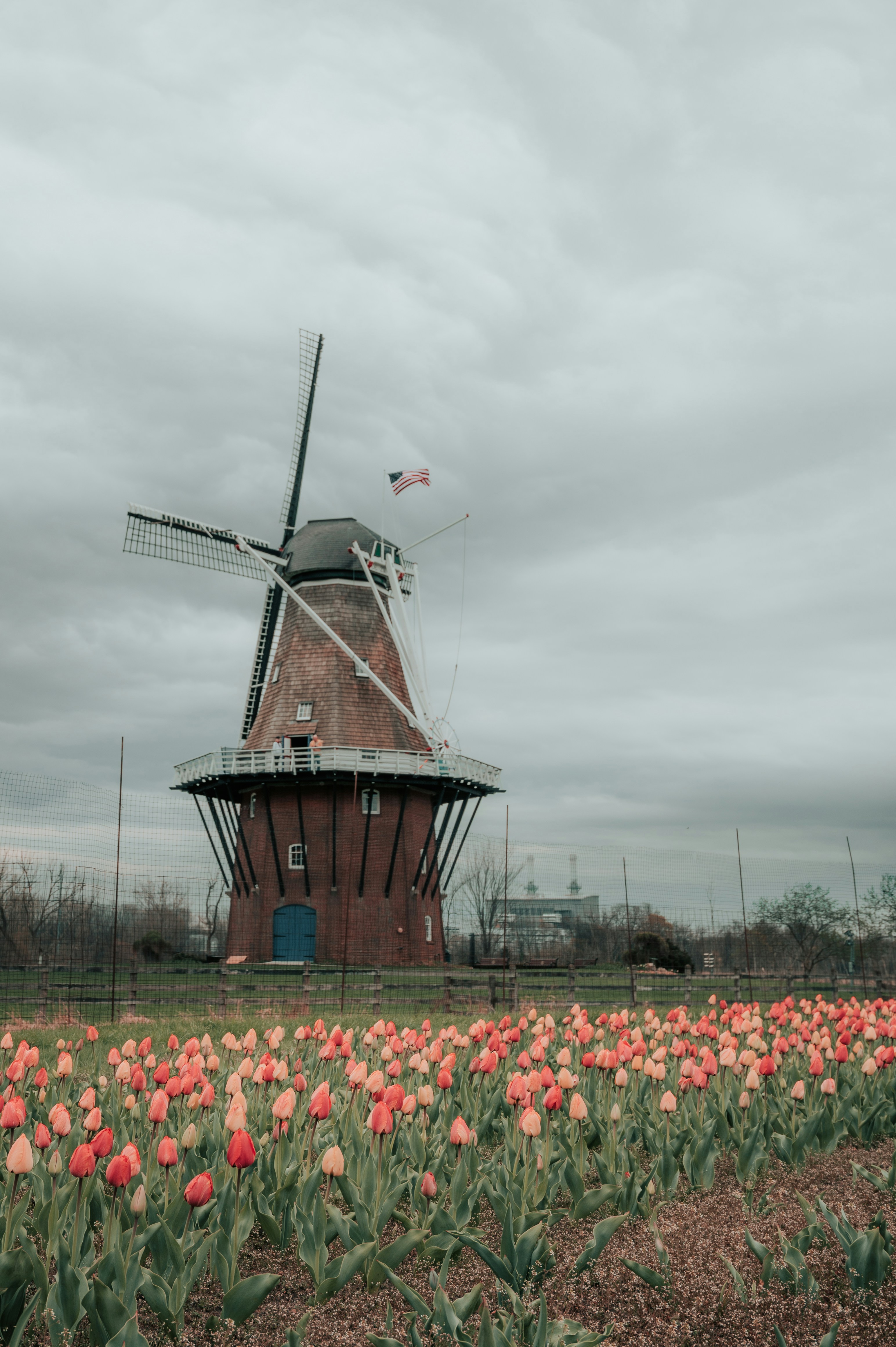 Photo by mariahhewines