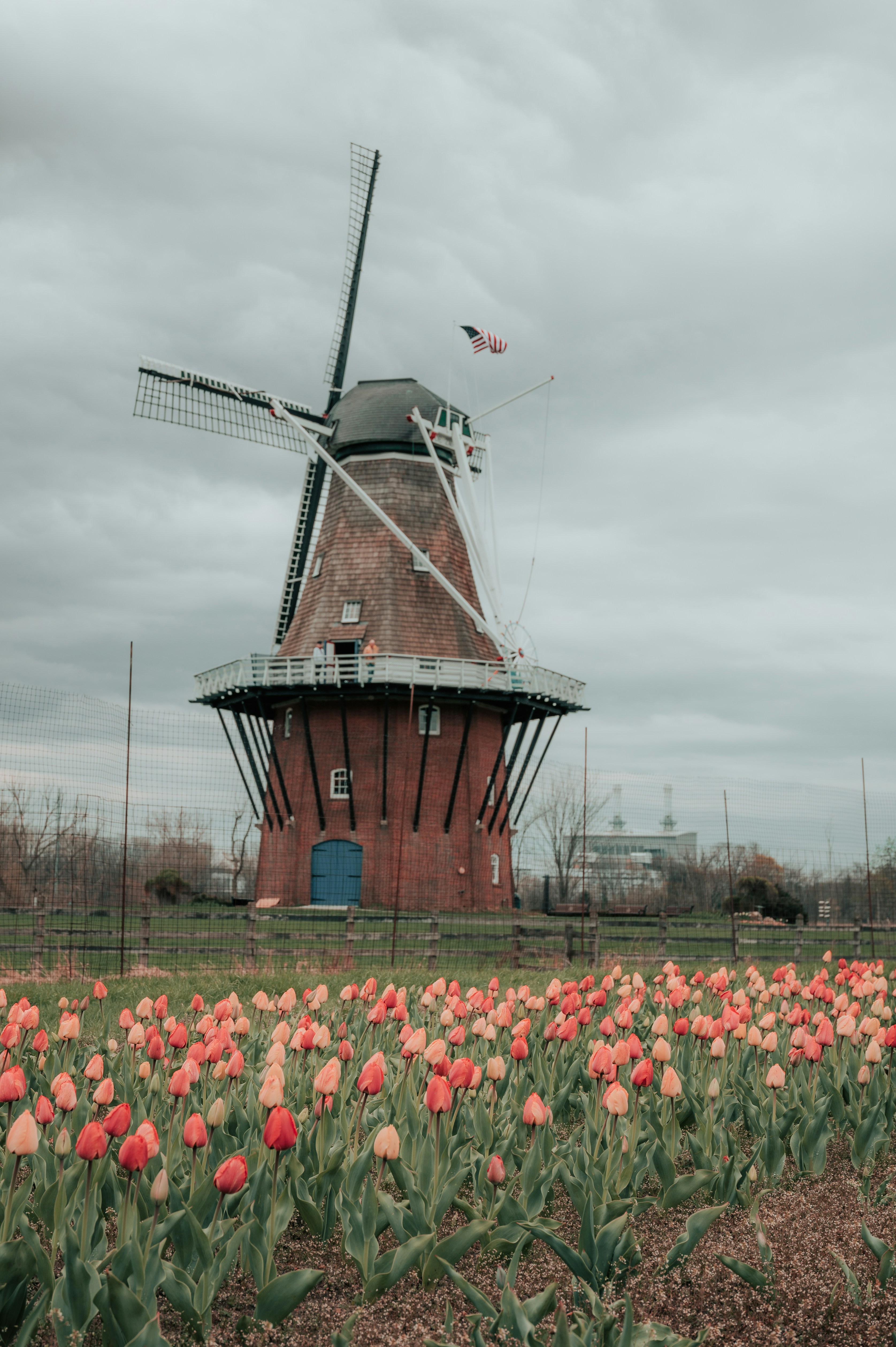 Photo by mariahhewines