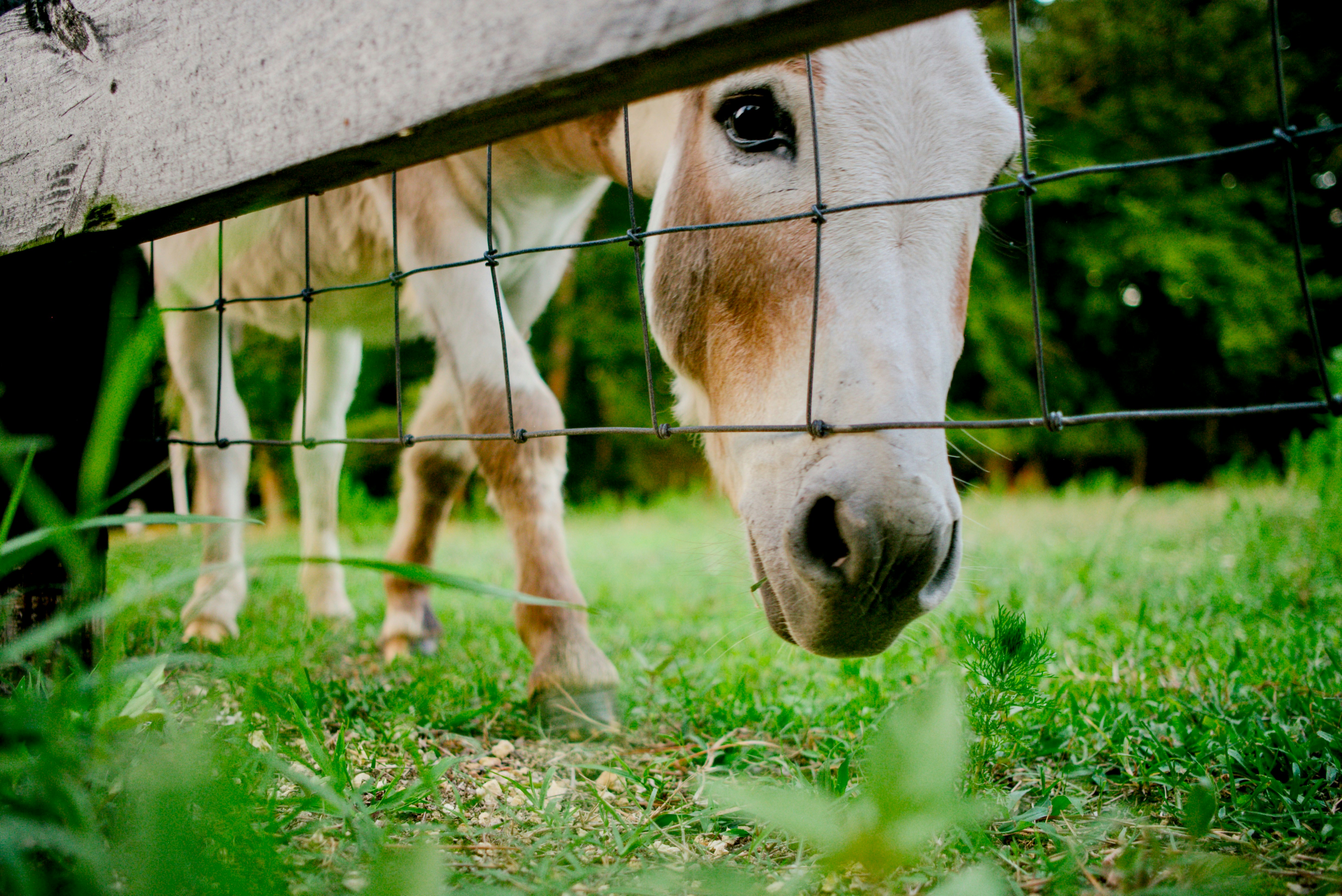 Photo by btcarpenter