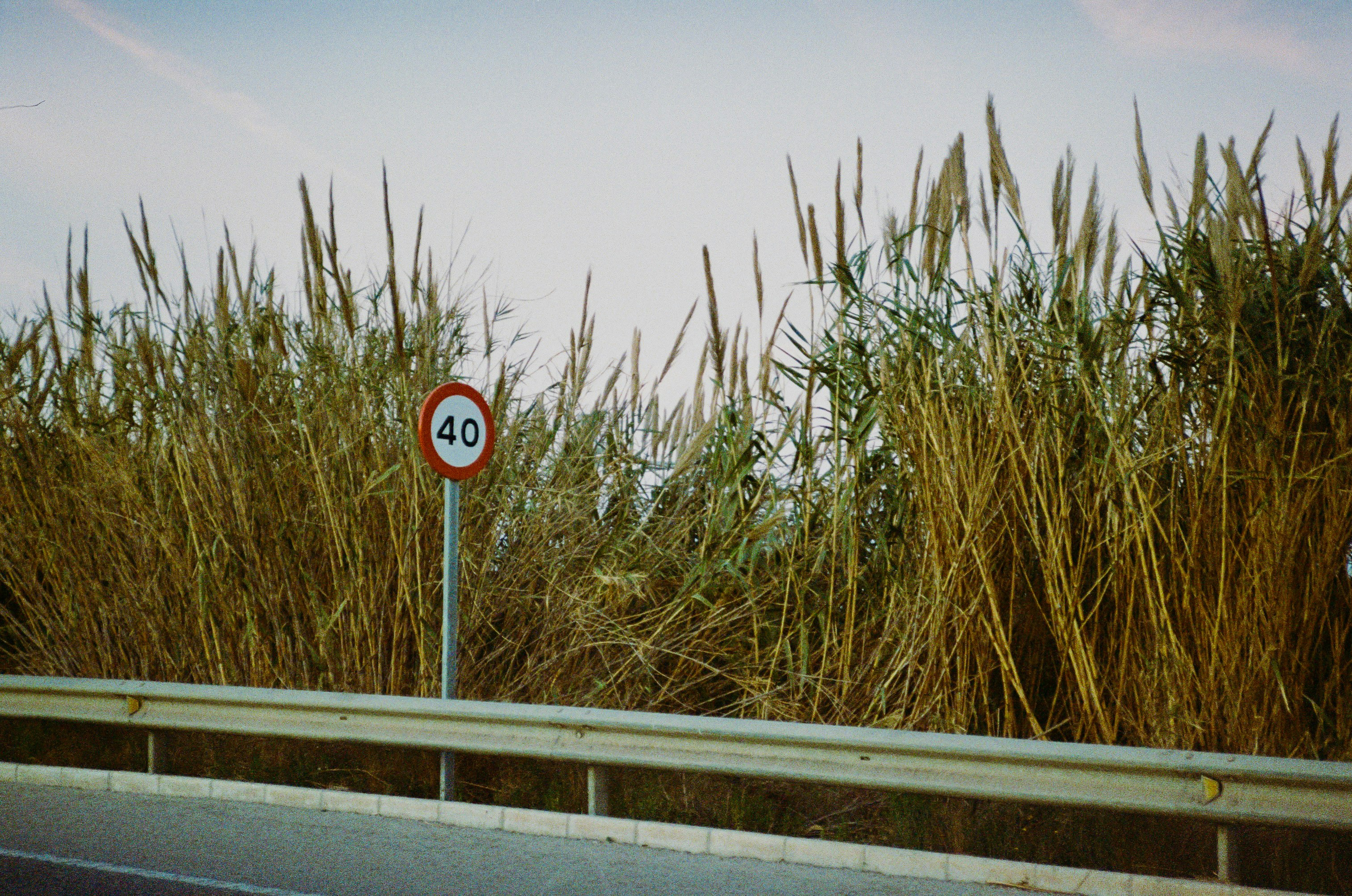 How to Use Expeditor Services for Peak-Season Passport Demand (Events, Ski Season, Festival Travel)