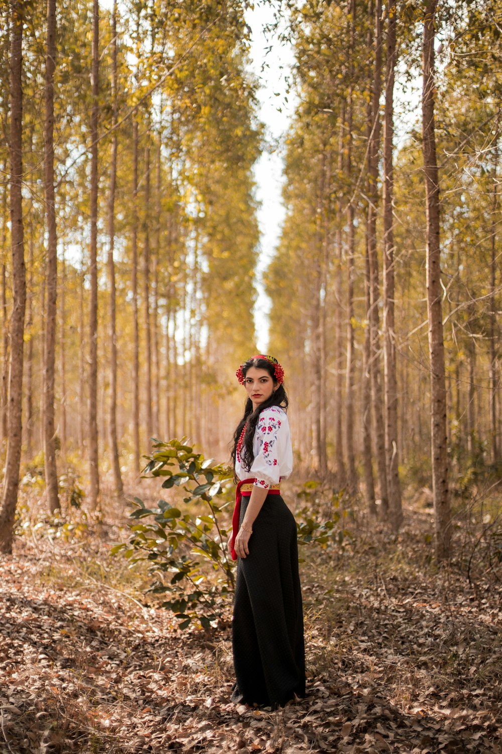 a person standing in a forest