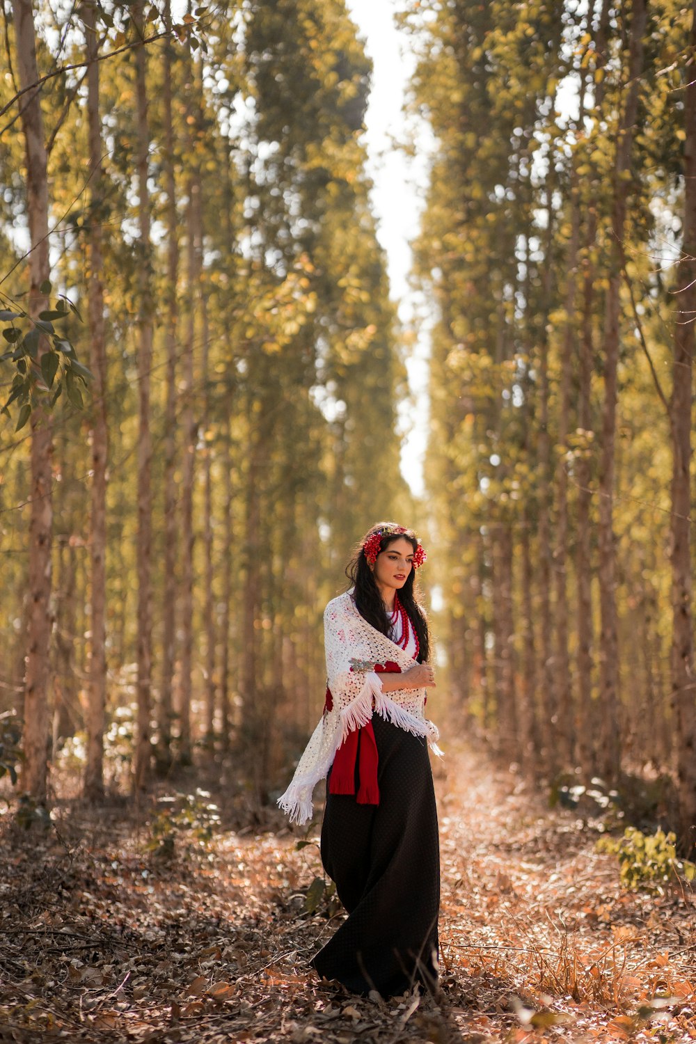 a person standing in a forest