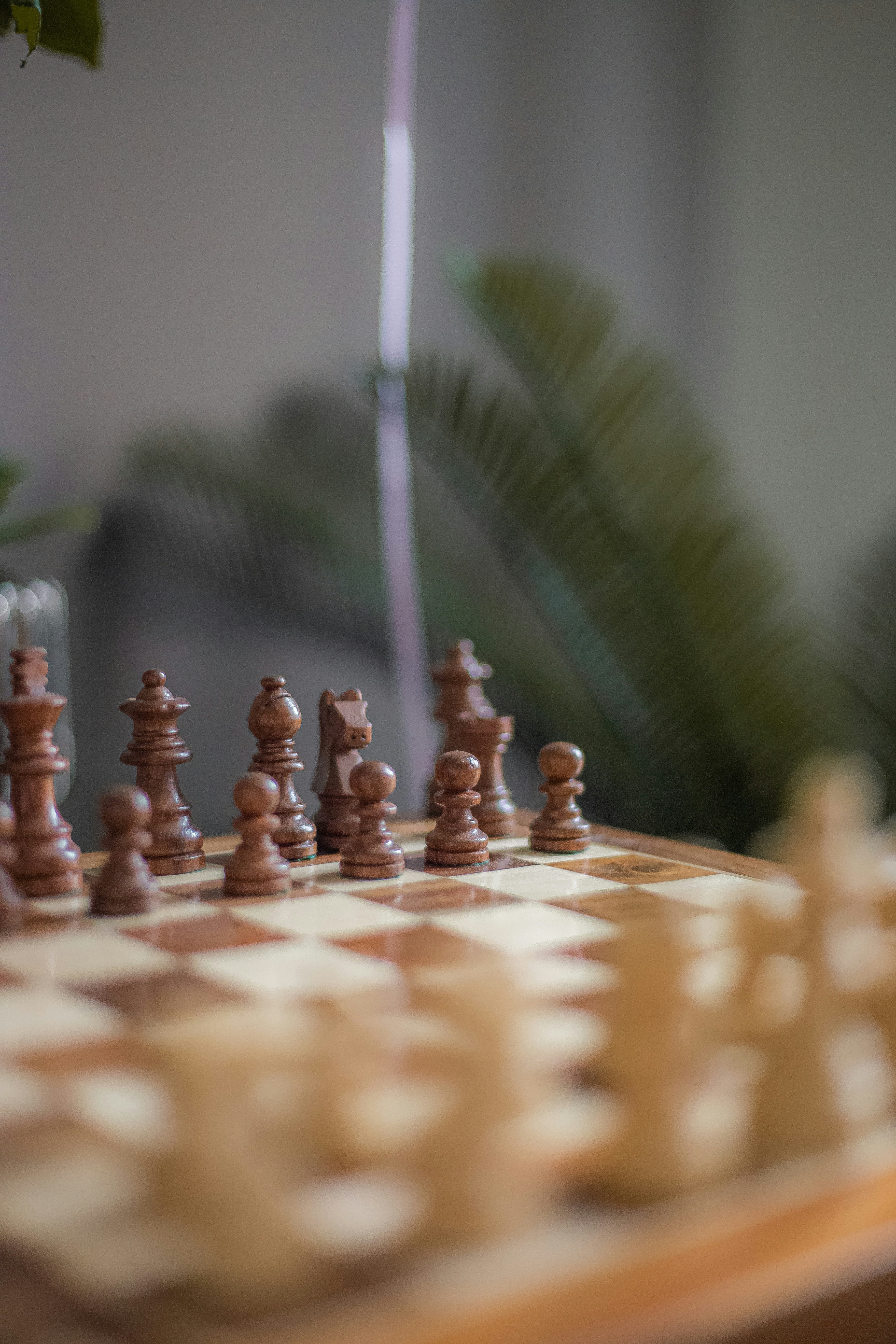 Stratégies pour vaincre la solitude