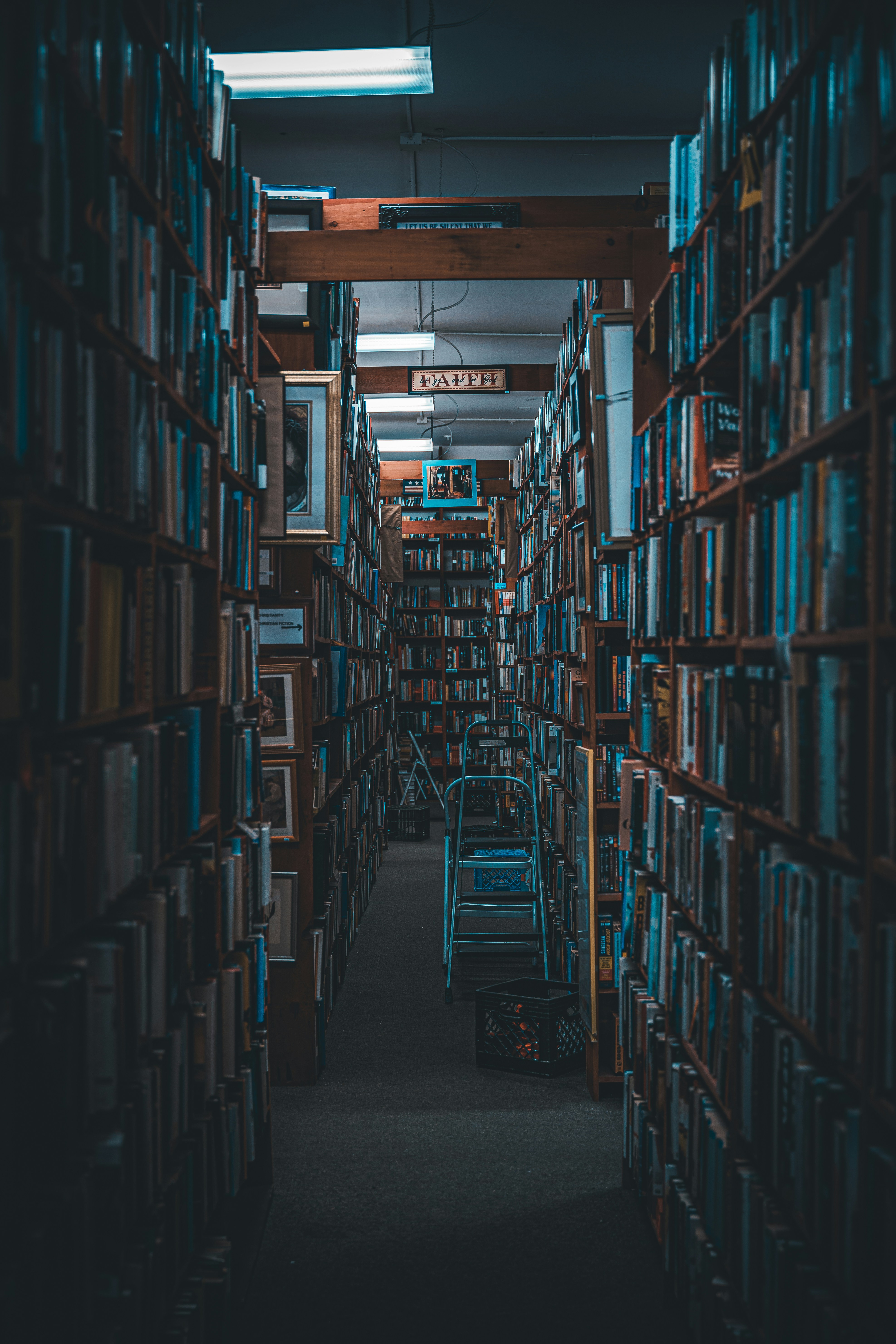 Photo by chris_lynch_