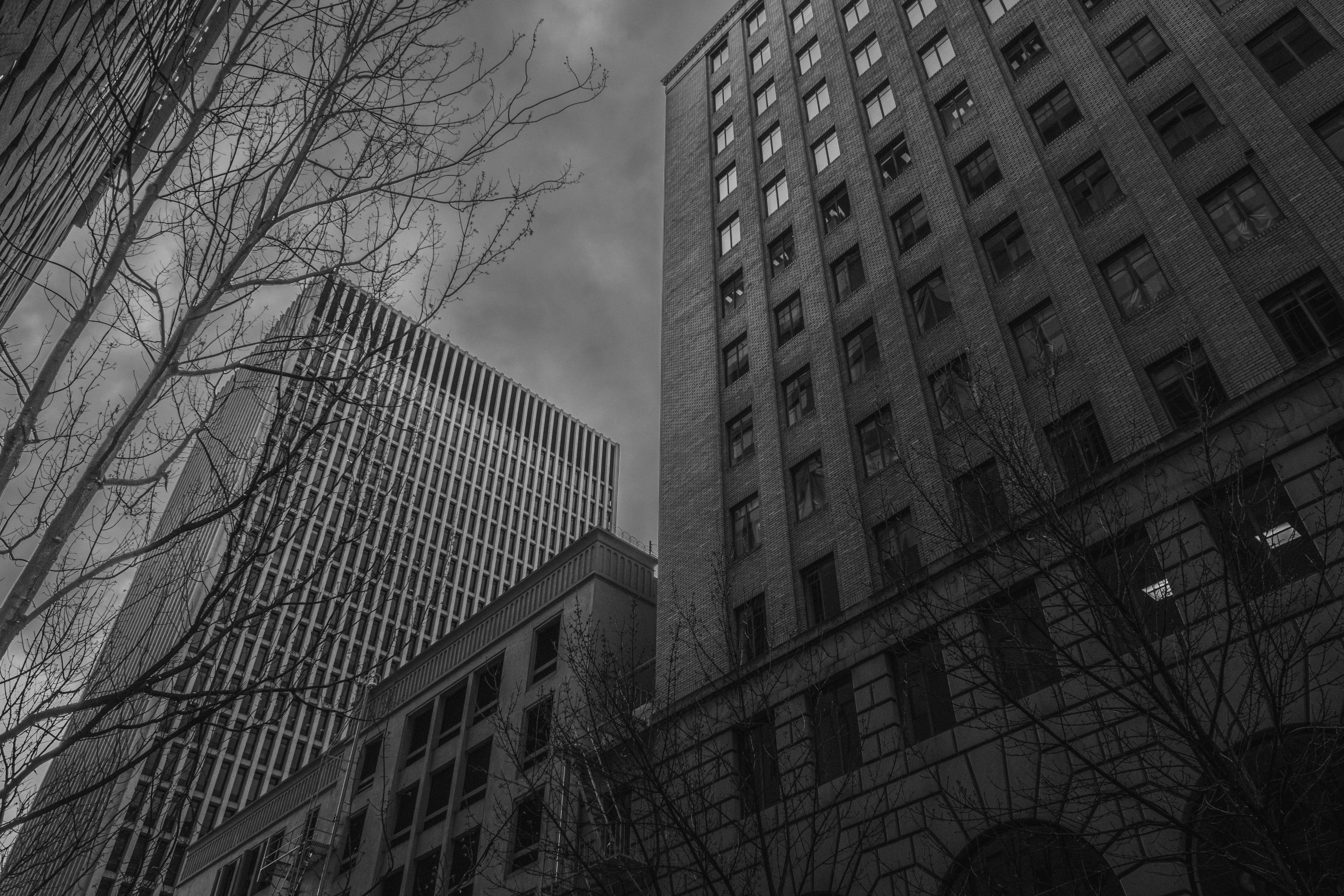 Photo by william_rudolph