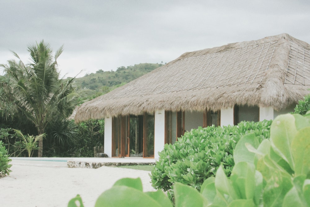 a house with a grass roof