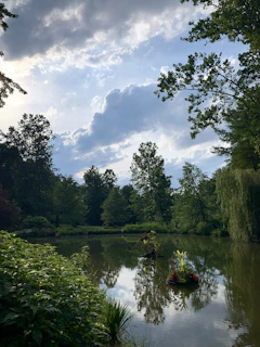 A serene pond reflecting the sky, surrounded by lush greenery and wildflowers.