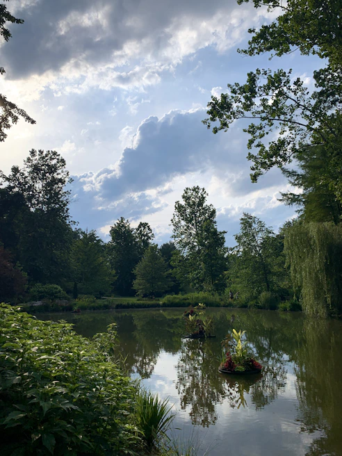 A serene pond reflecting the sky, surrounded by lush greenery and wildflowers.