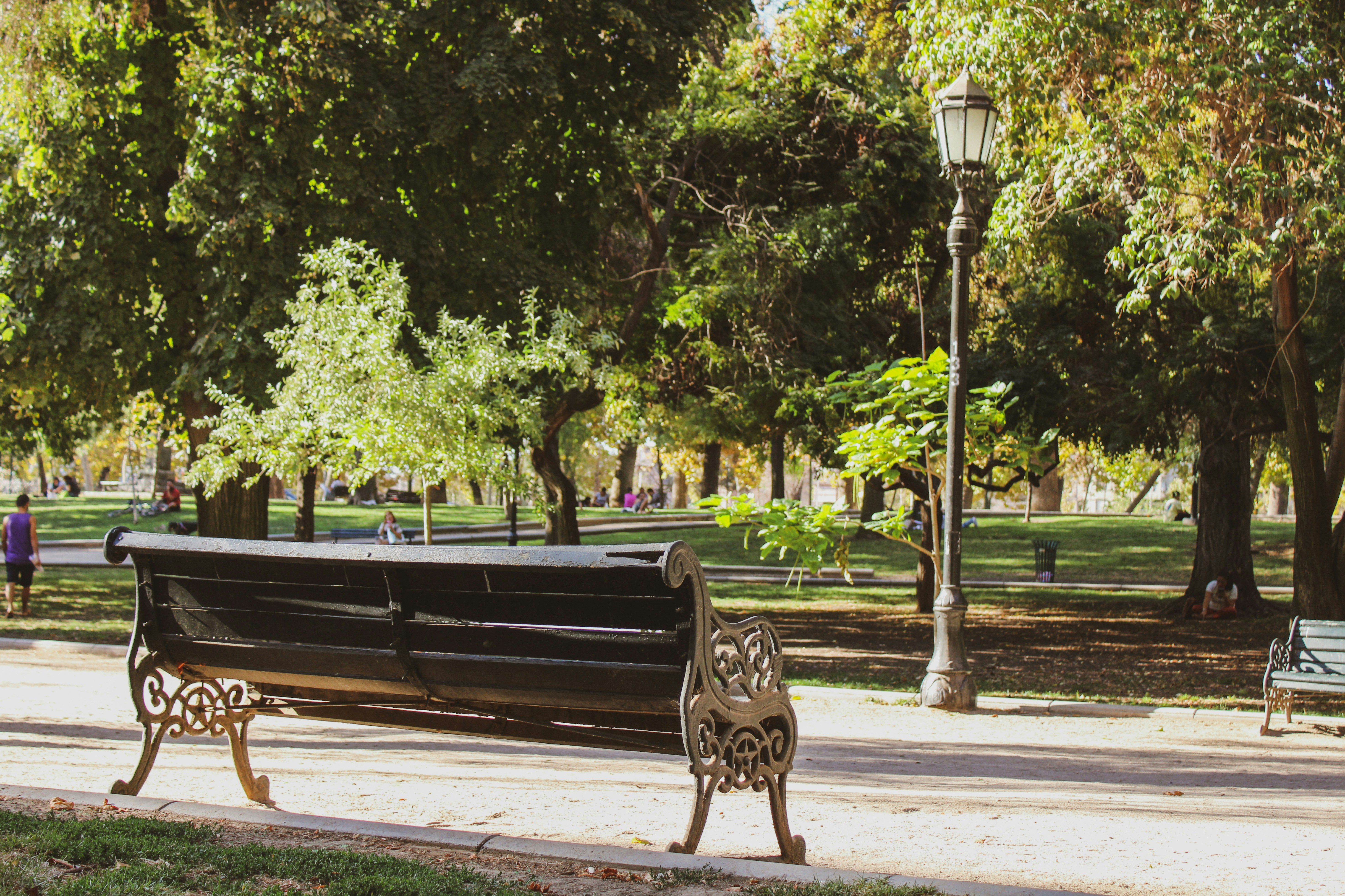 Parque Forestal photo 2