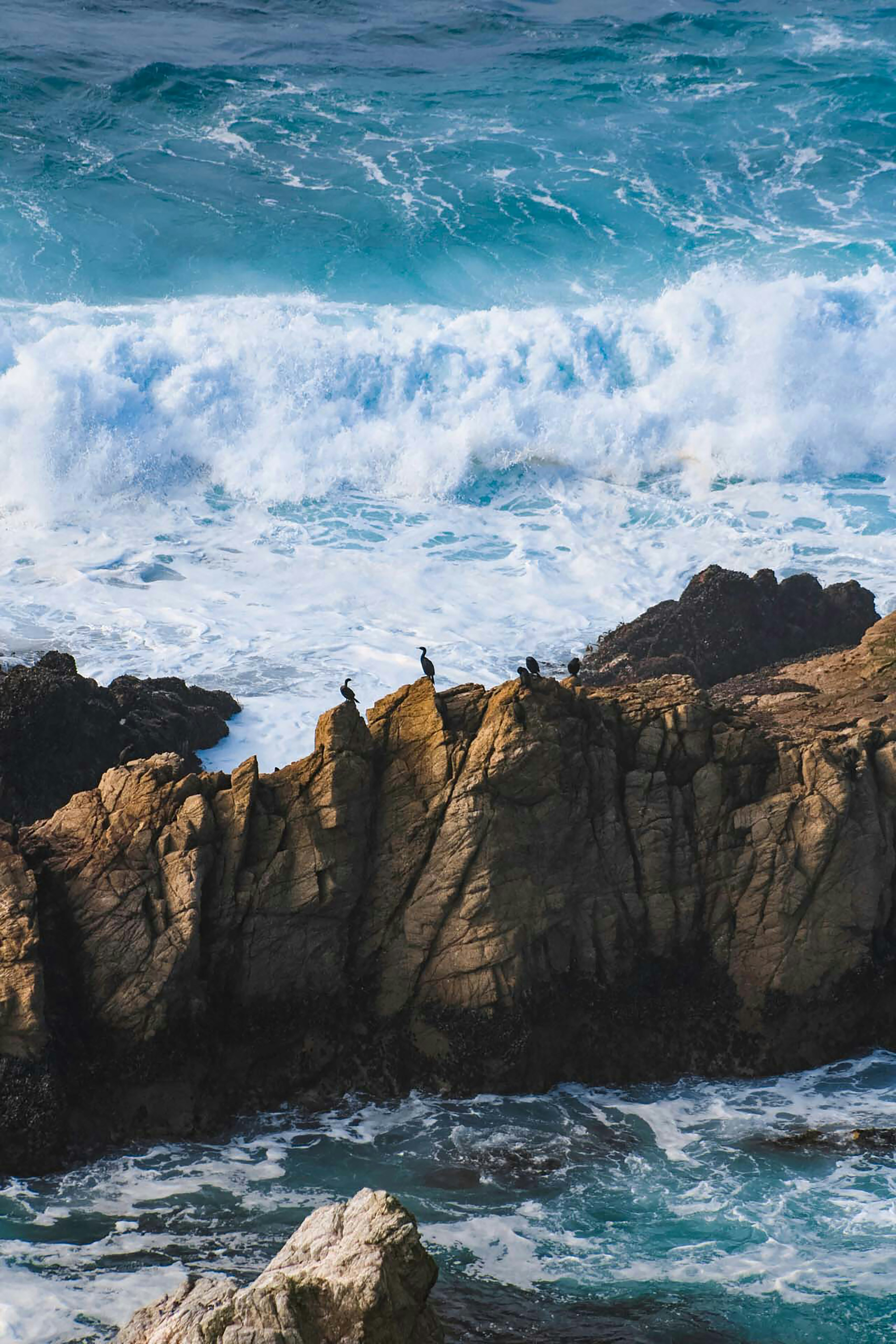 Photo by marybrennan