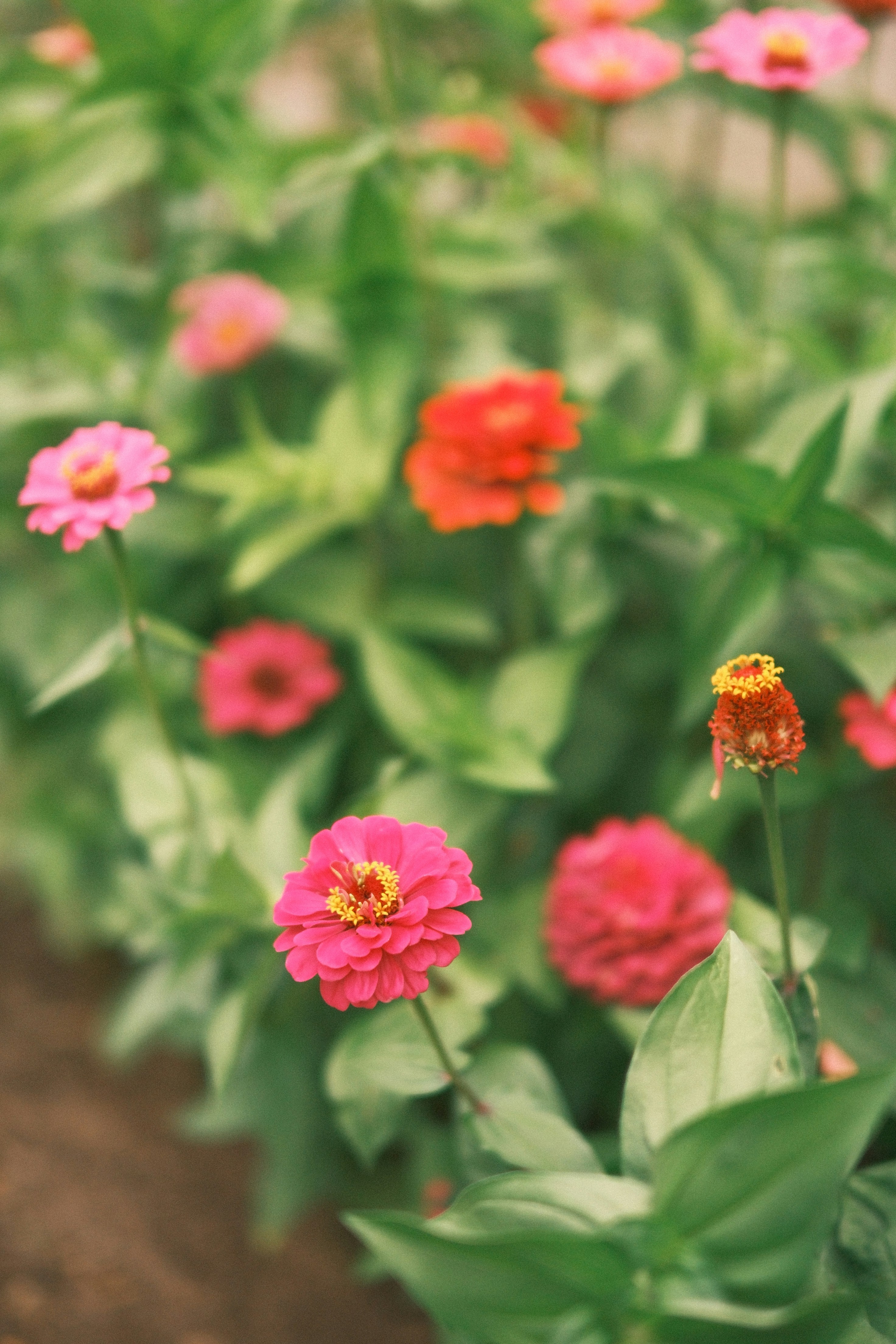 Photo by taylorheeryphoto