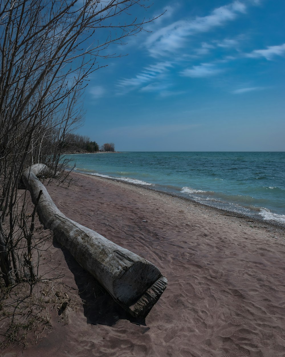 a log on a beach