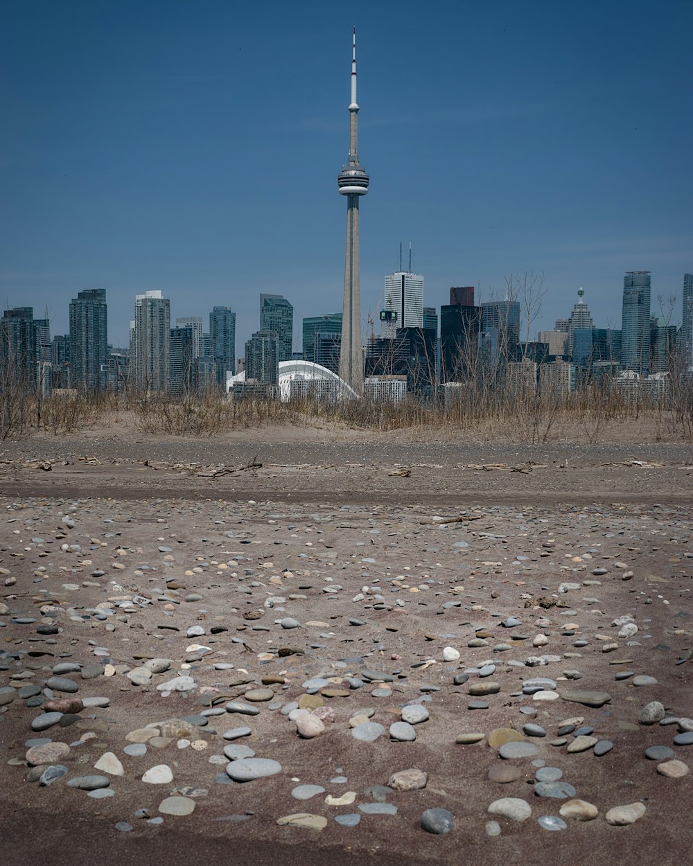 a city skyline with a tower in the distance