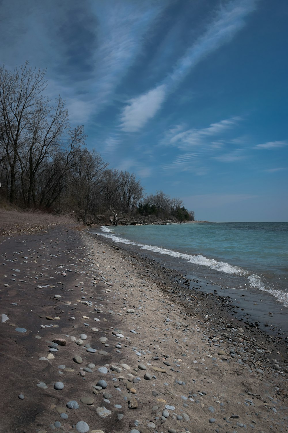 a beach with rocks and trees