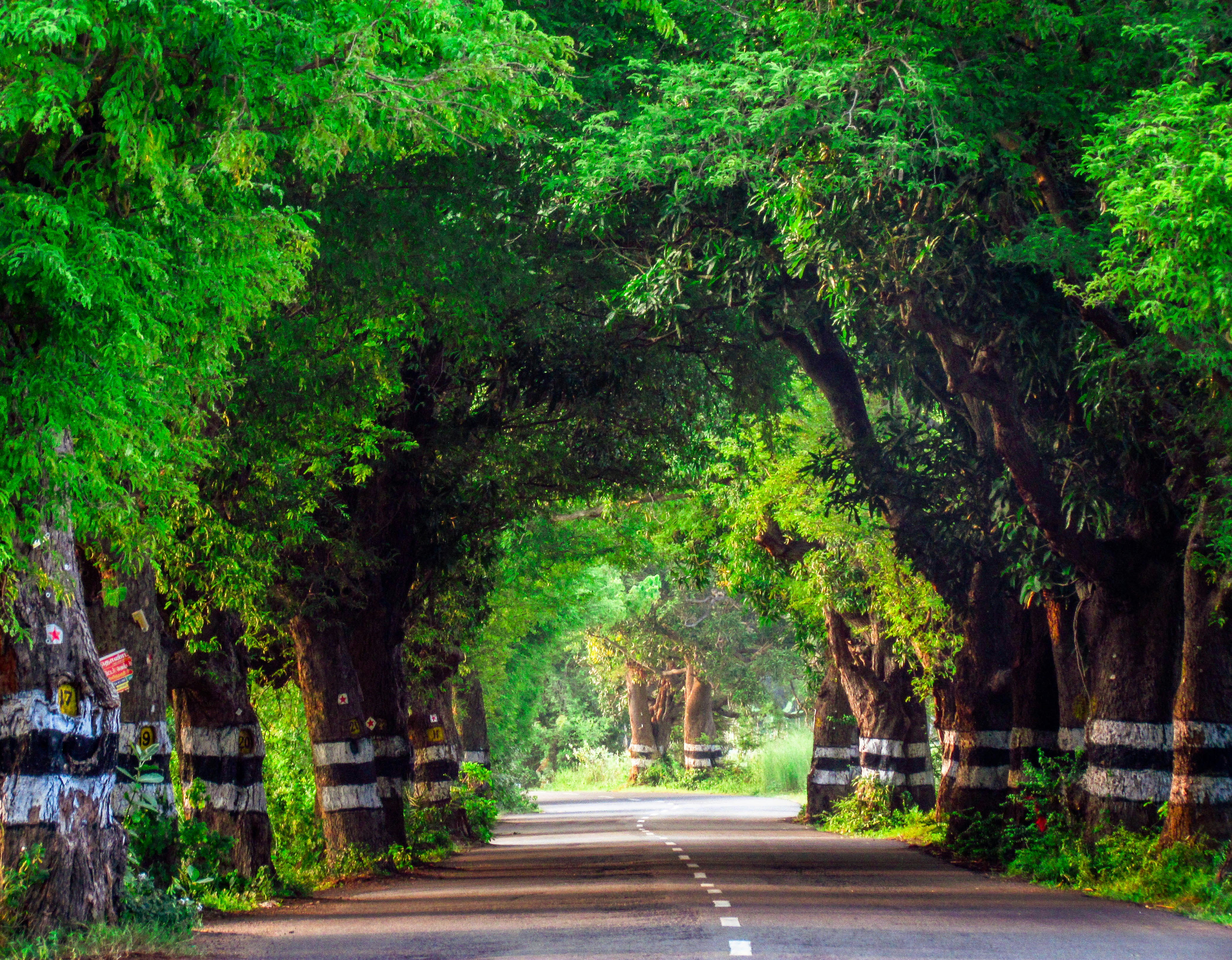 Photo by jpninanjohn