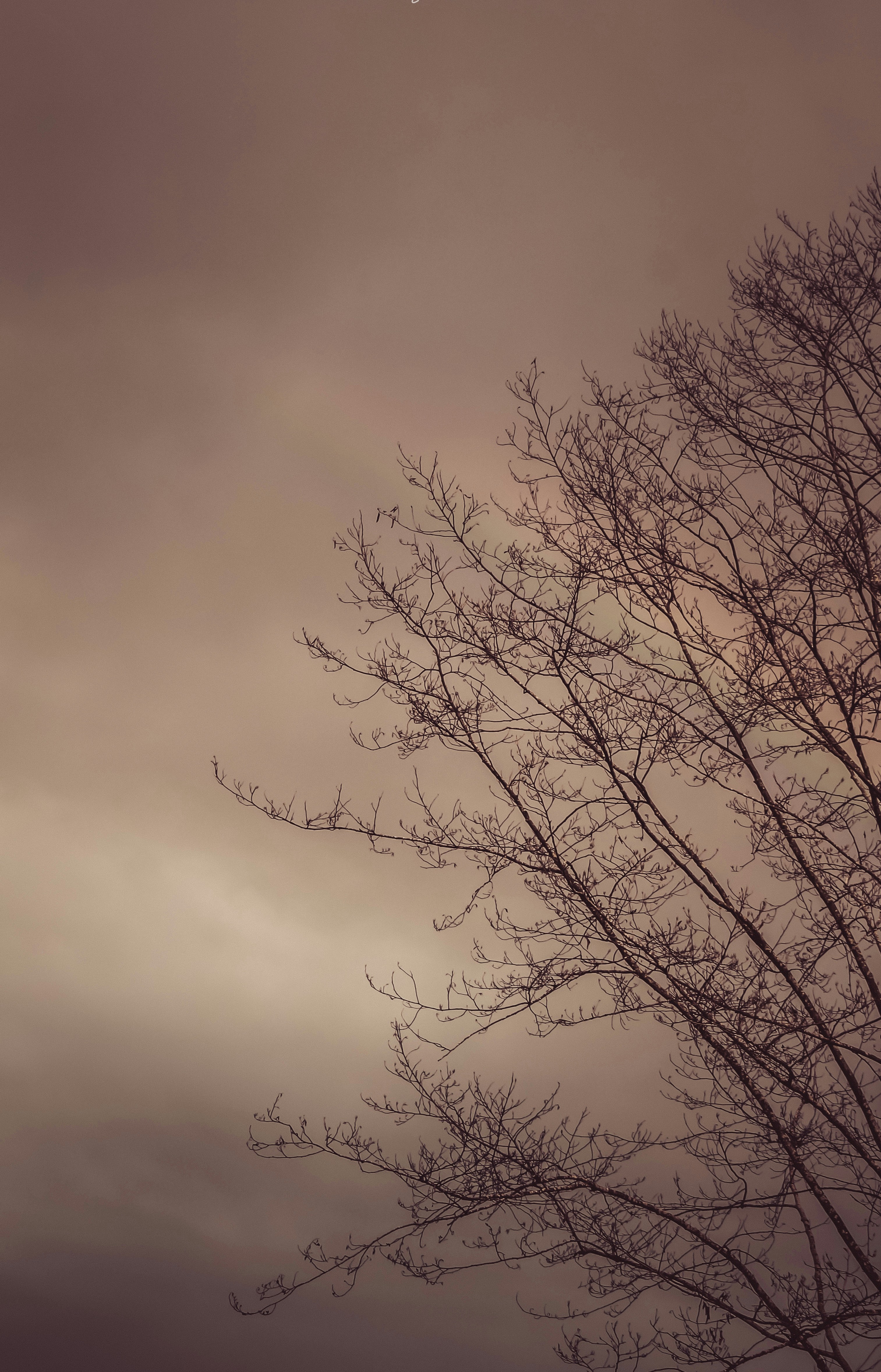 Photo by samrat_khadka