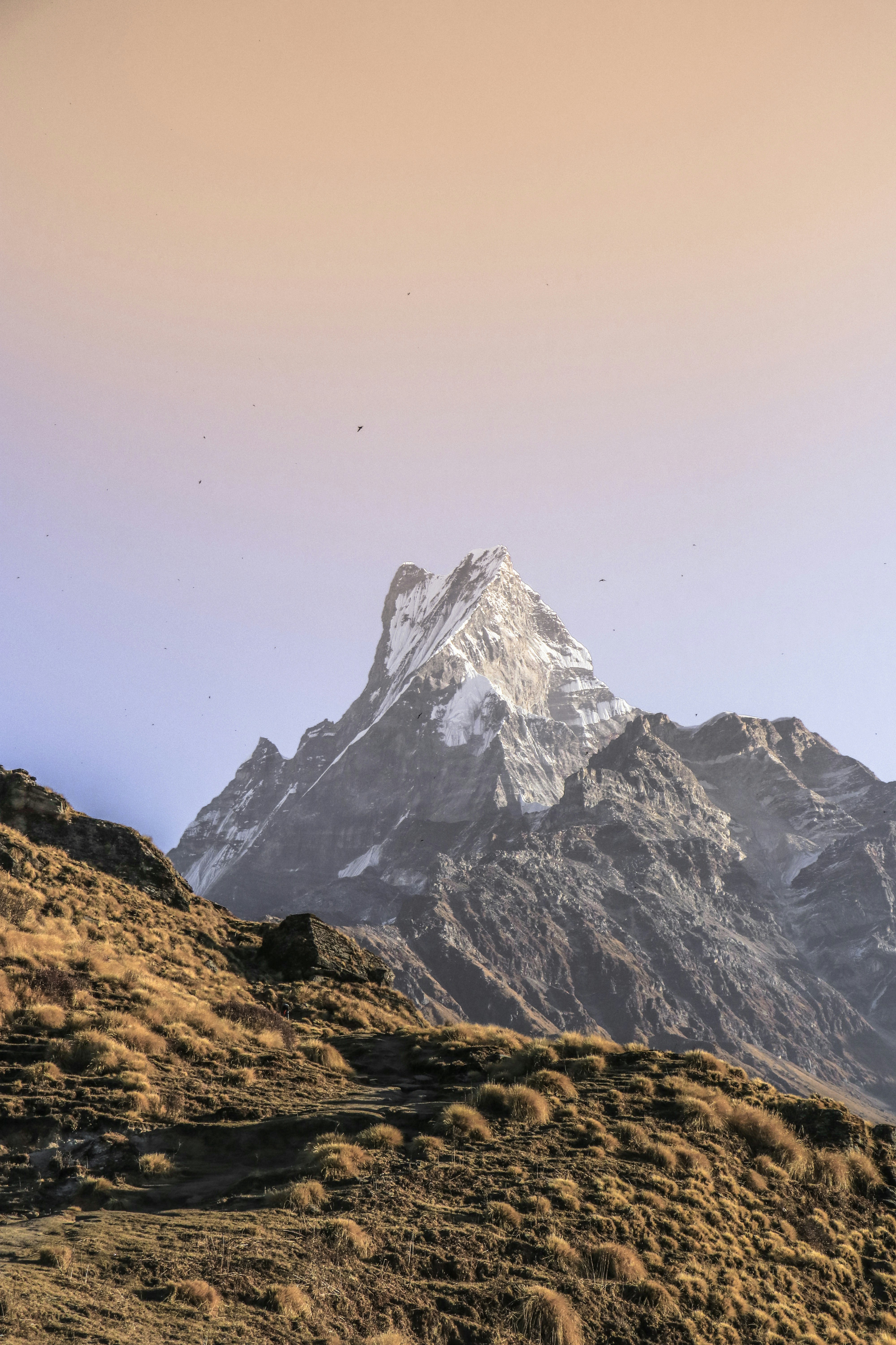 Photo by samrat_khadka