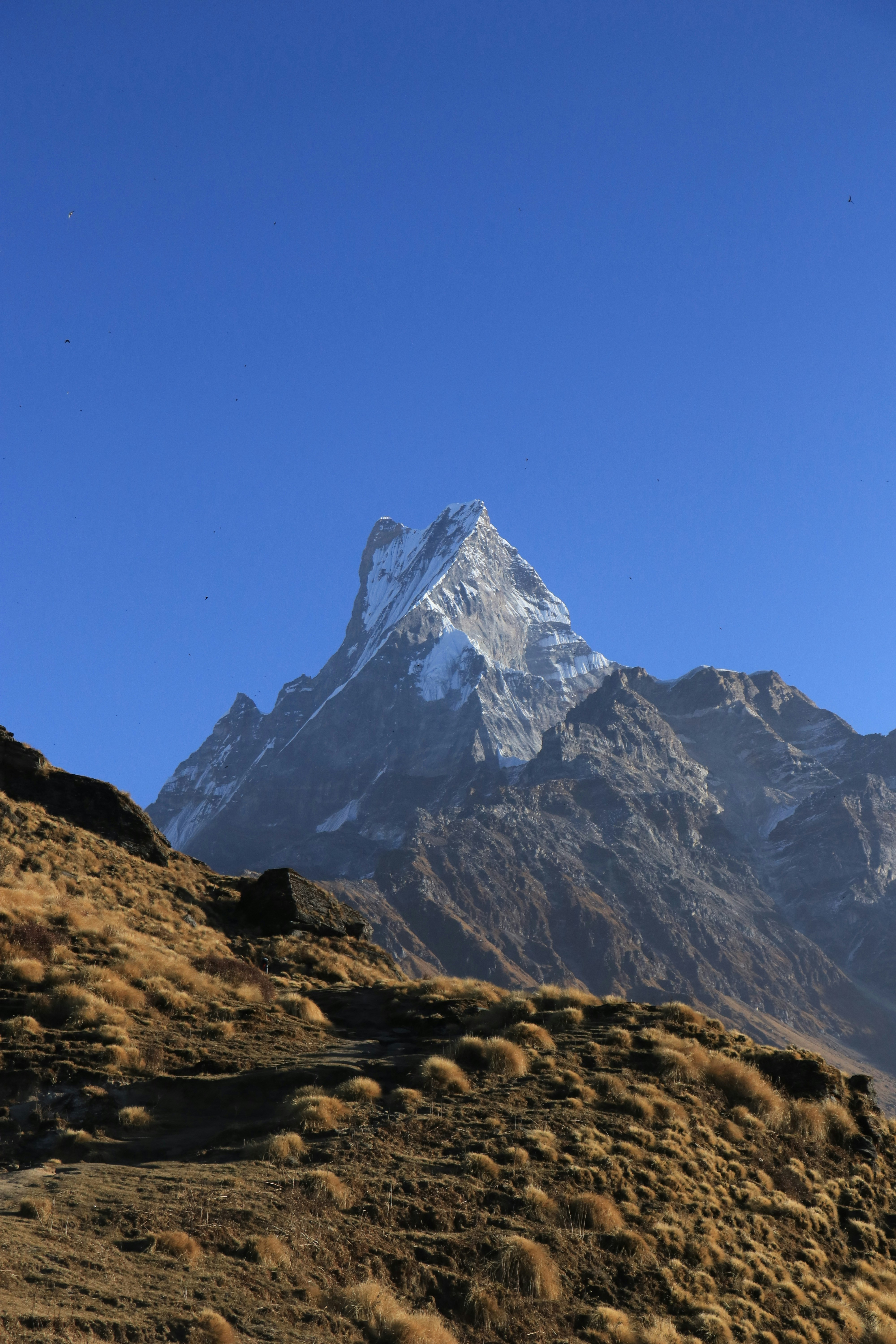 Photo by samrat_khadka