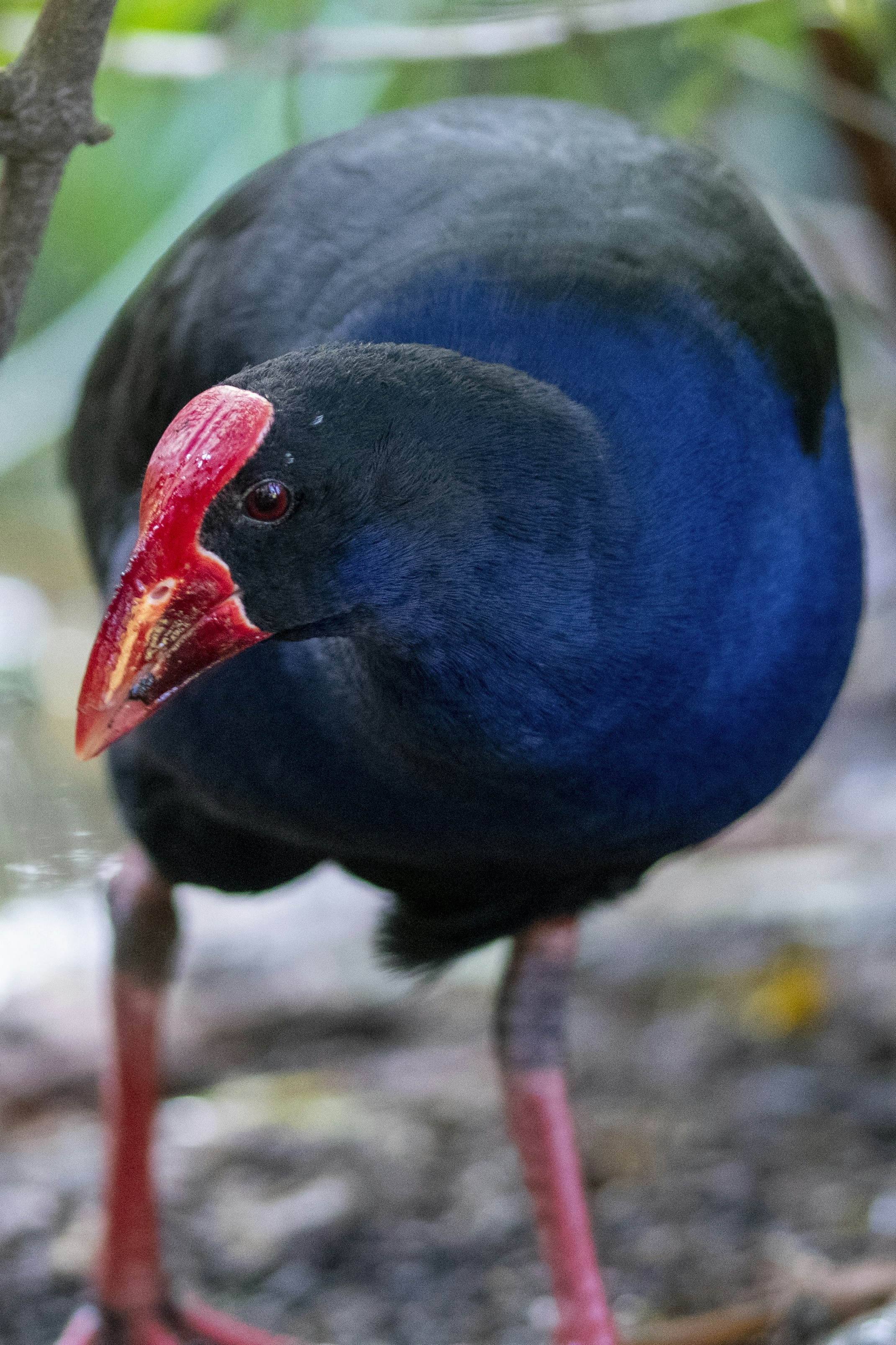 Photo by ellephant_photography