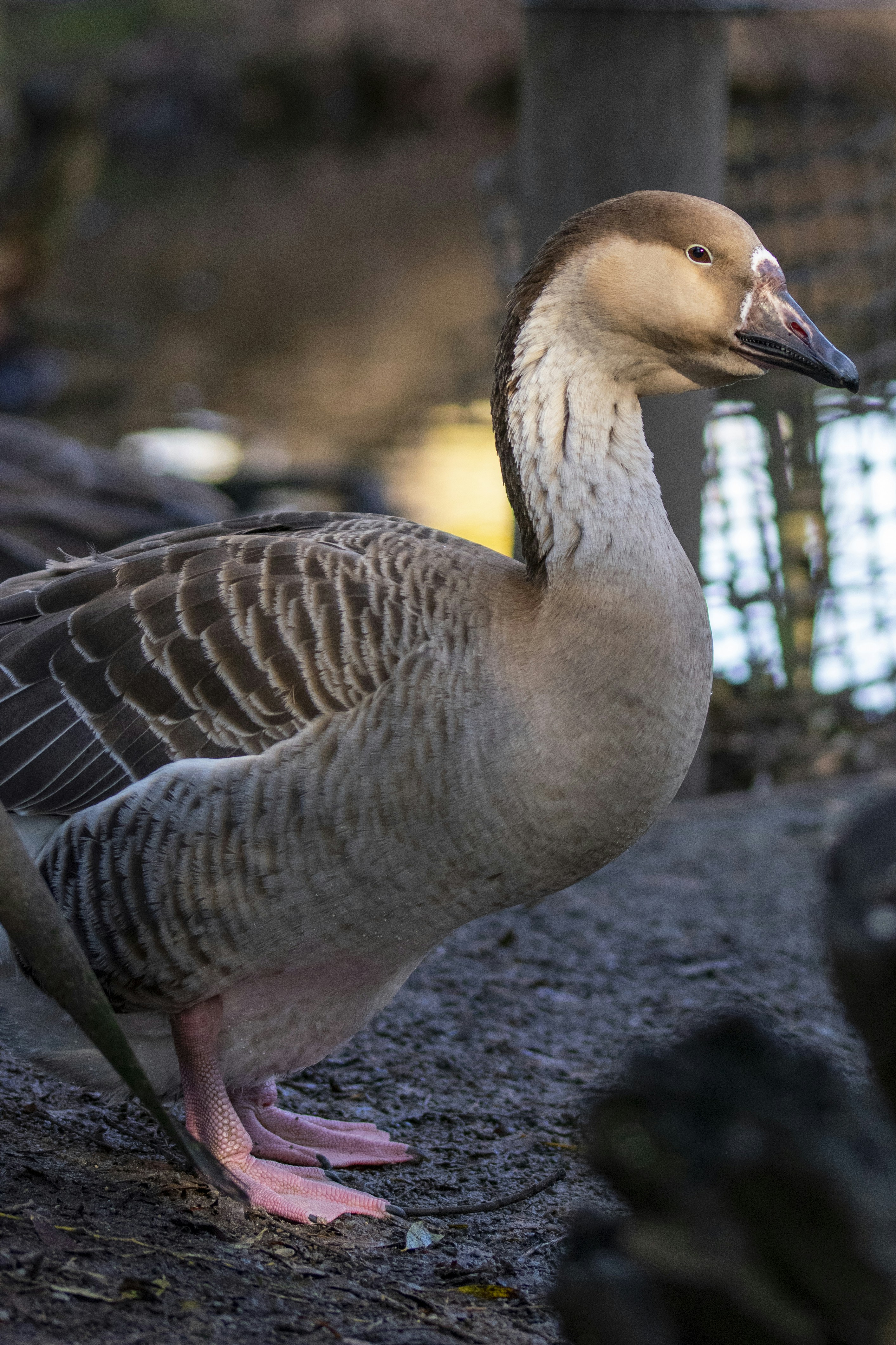 Photo by ellephant_photography