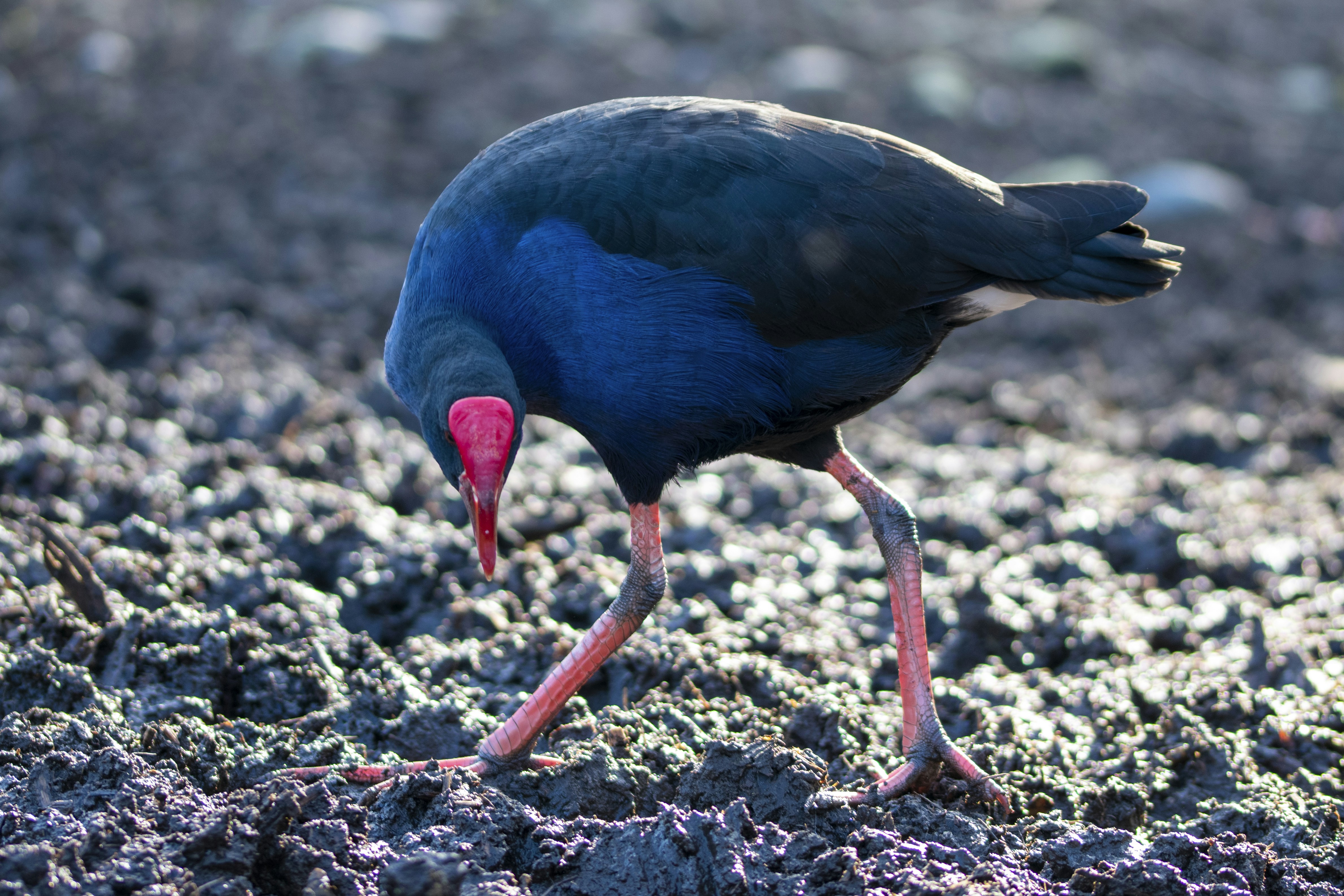 Photo by ellephant_photography