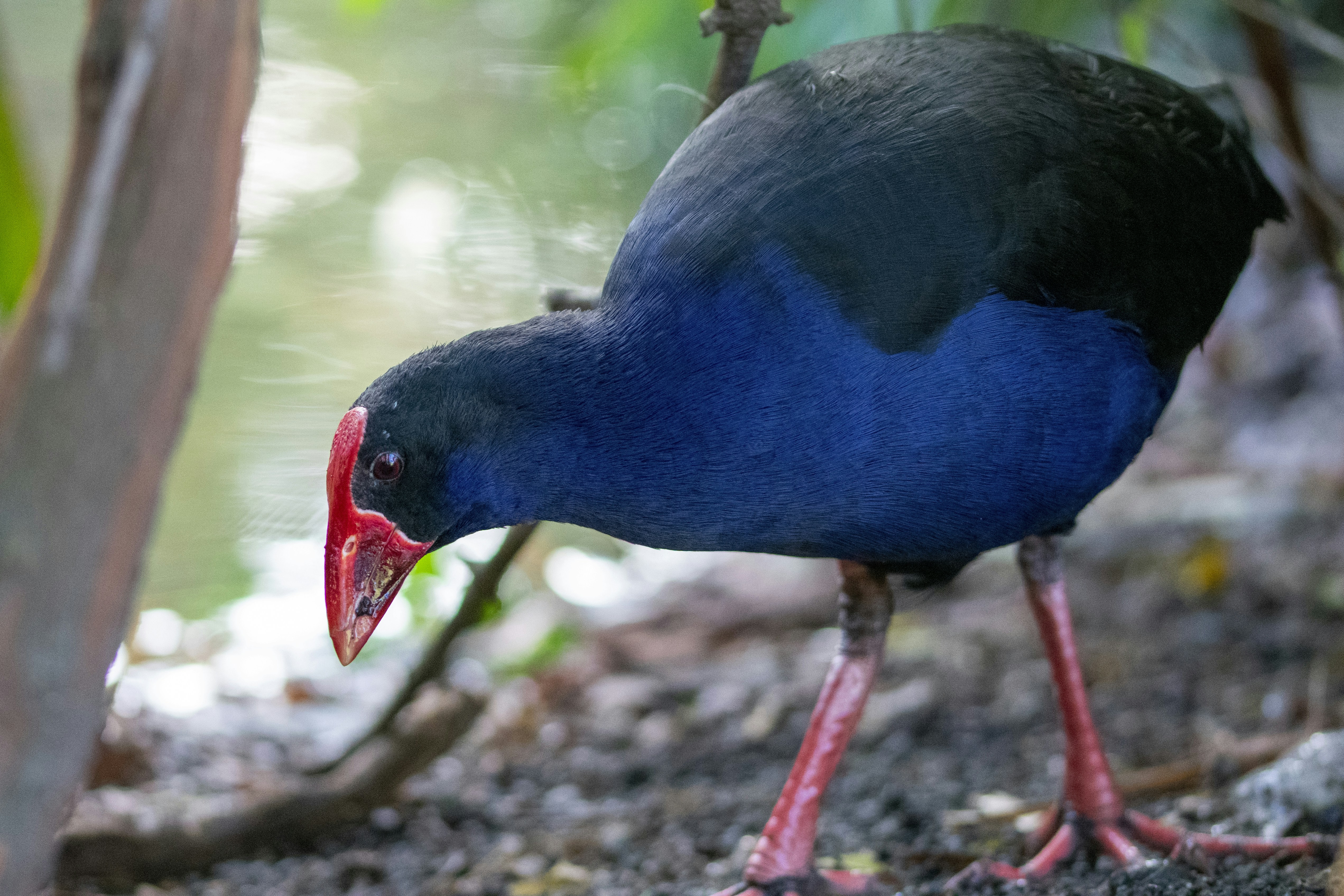 Photo by ellephant_photography